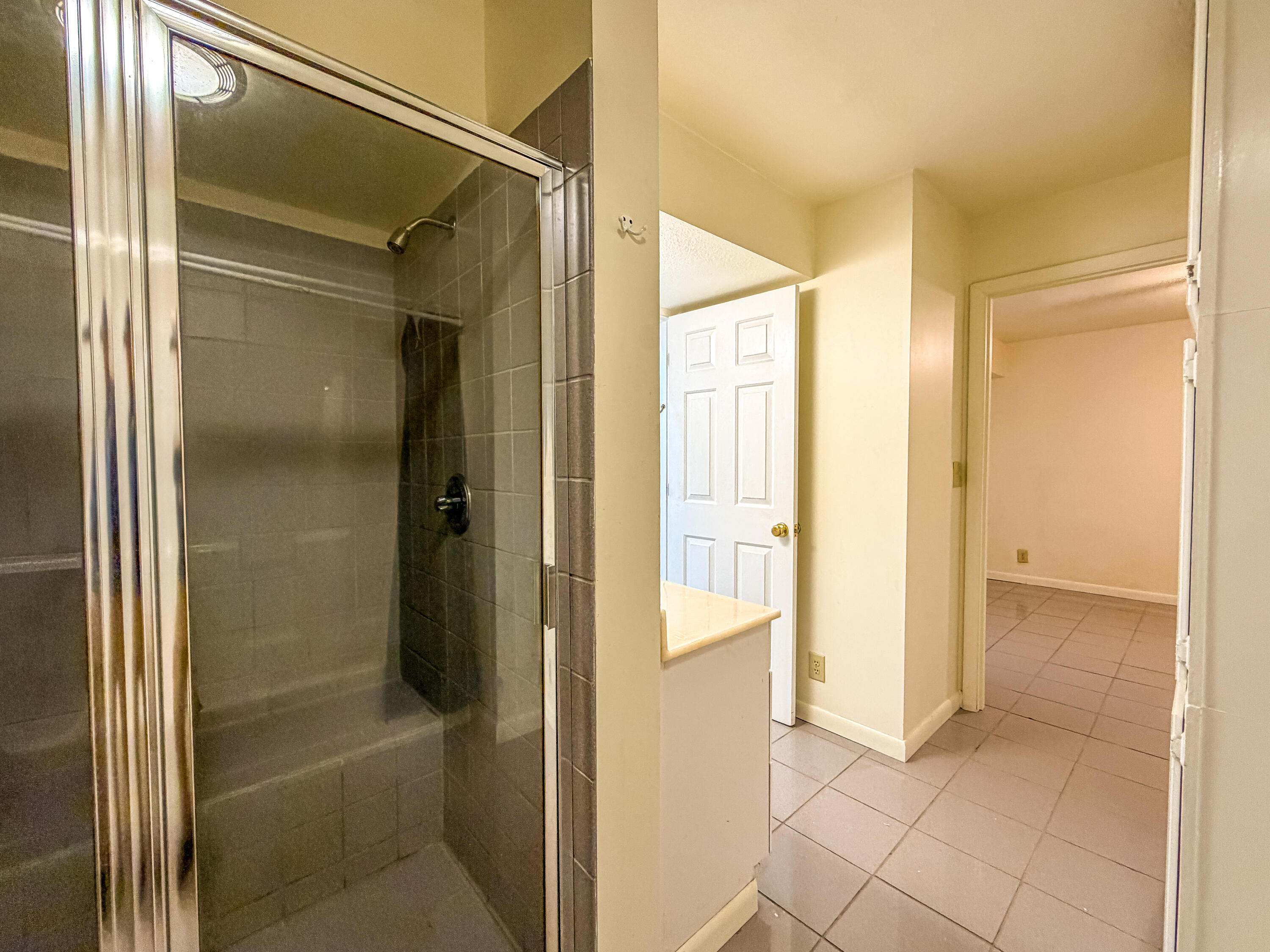 3095 Hill Springs Drive Property Photo 45