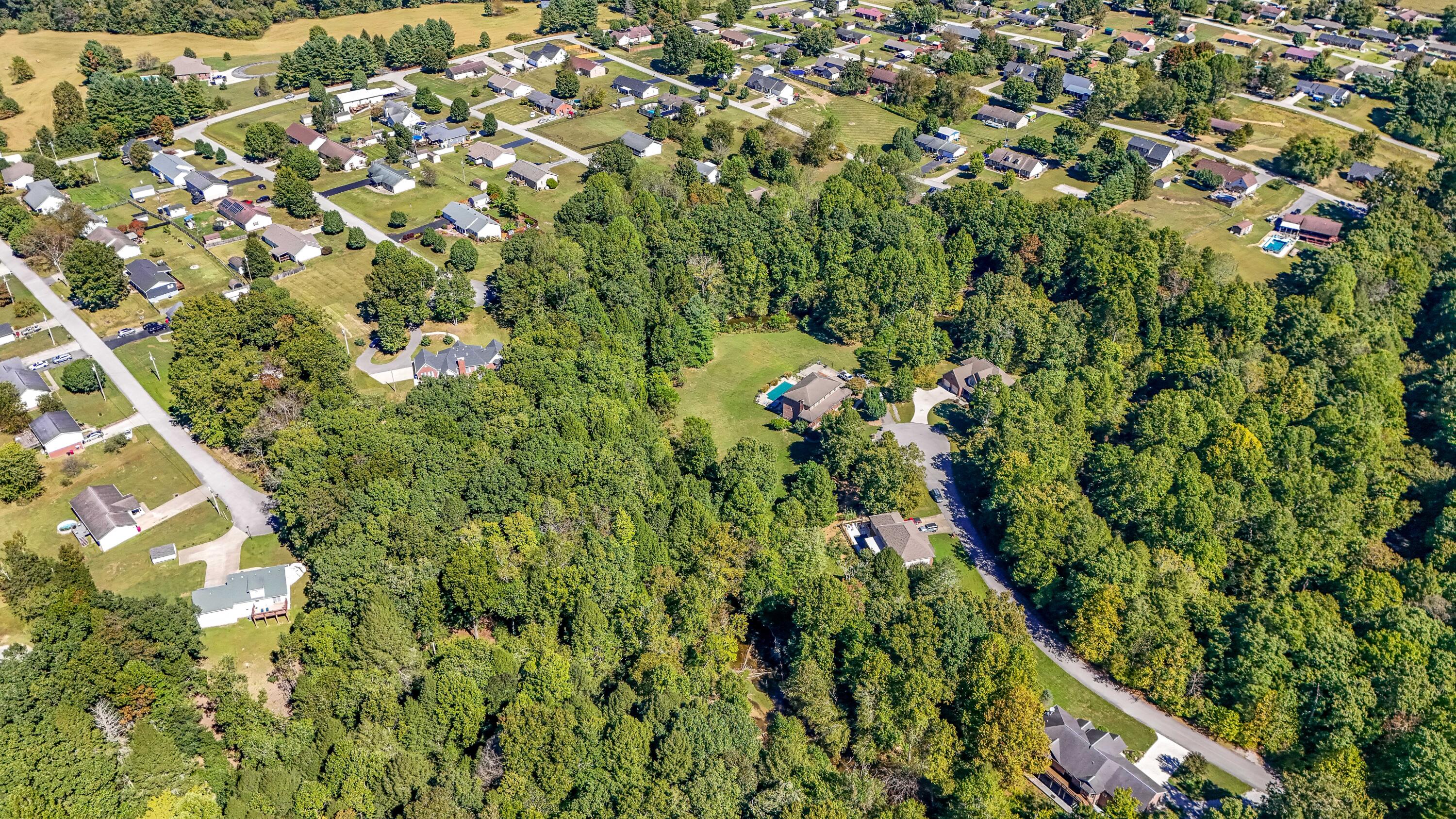 3095 Hill Springs Drive Property Photo 49