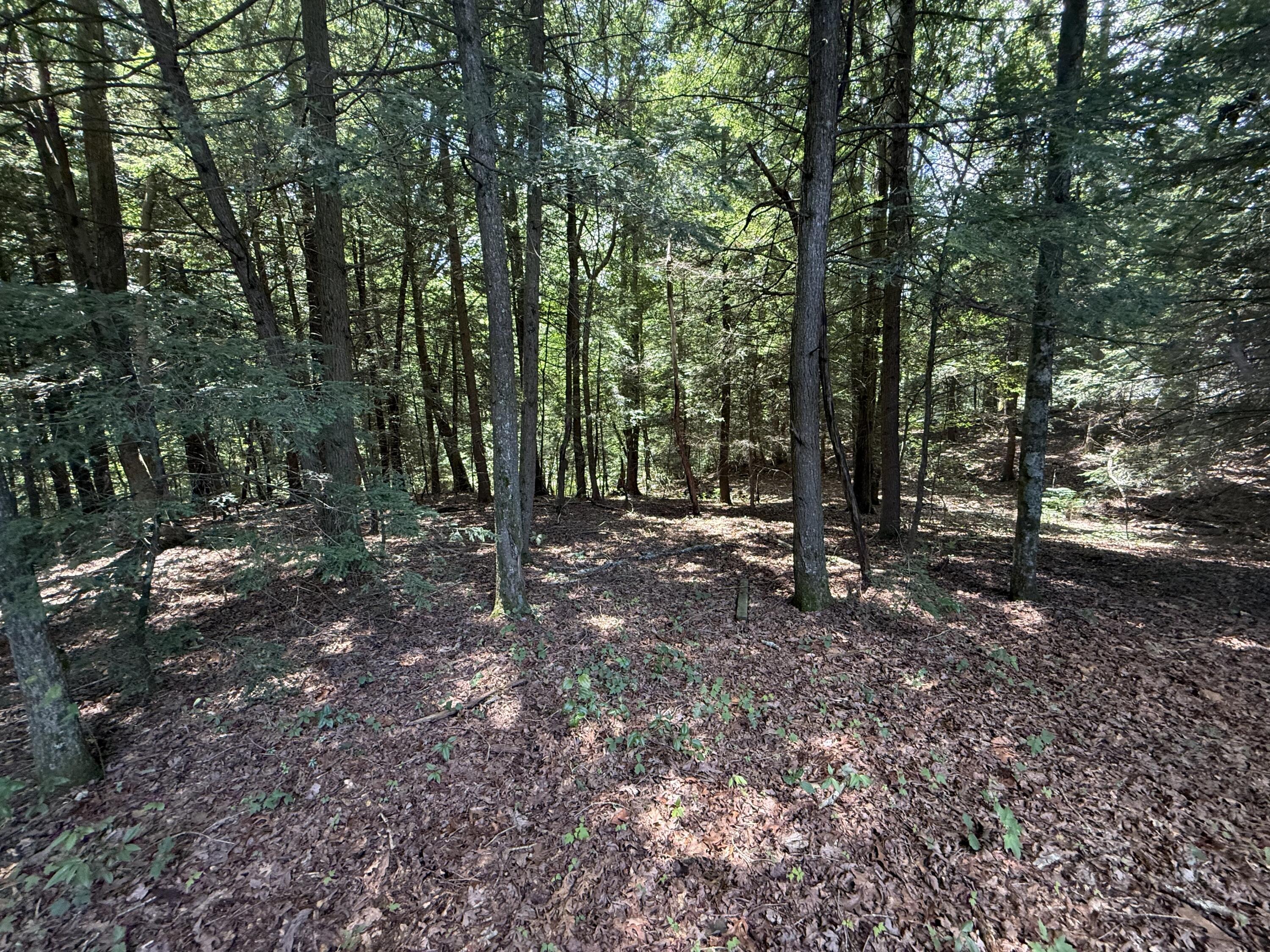 3095 Hill Springs Drive Property Photo 61