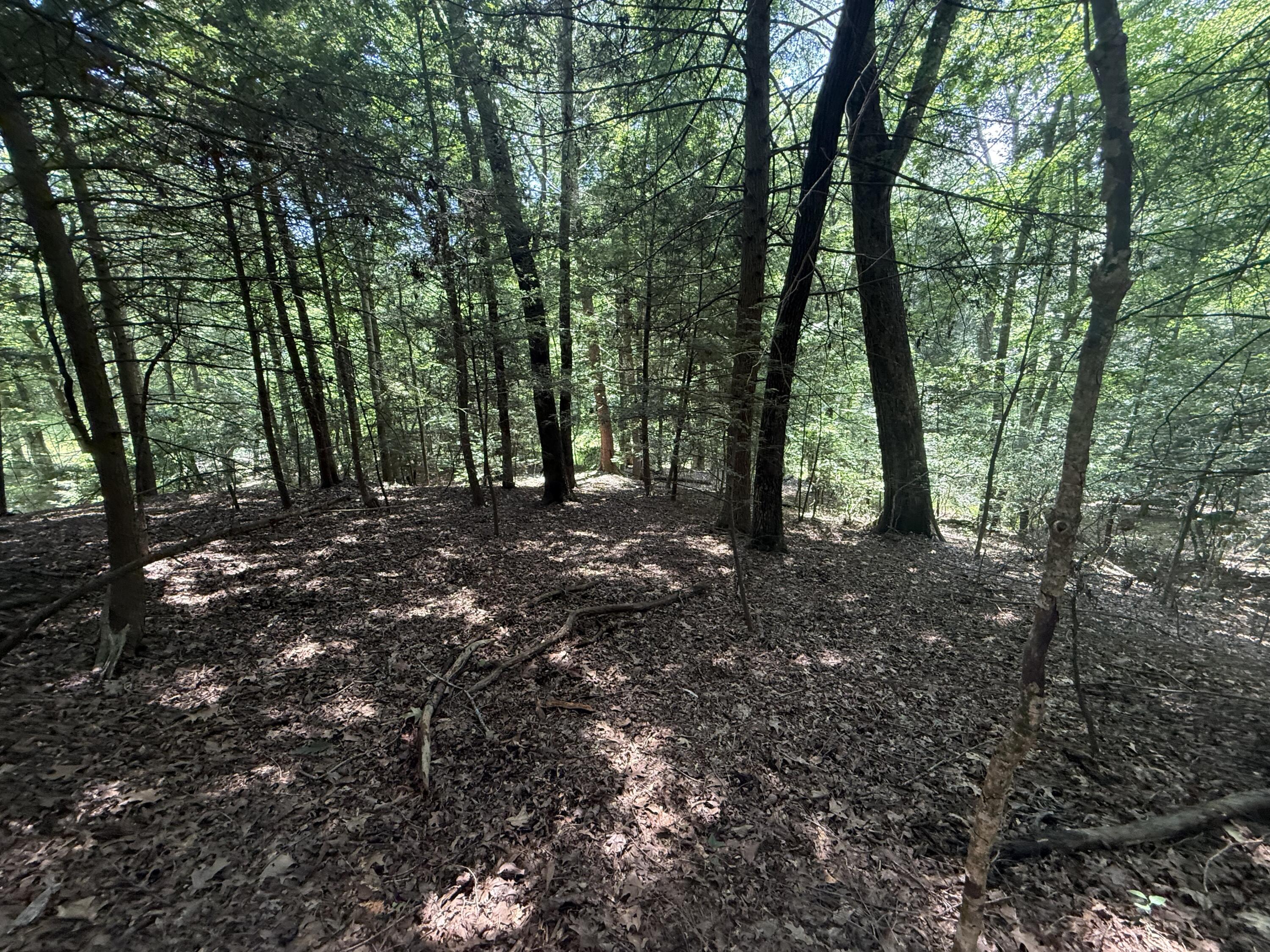 3095 Hill Springs Drive Property Photo 62