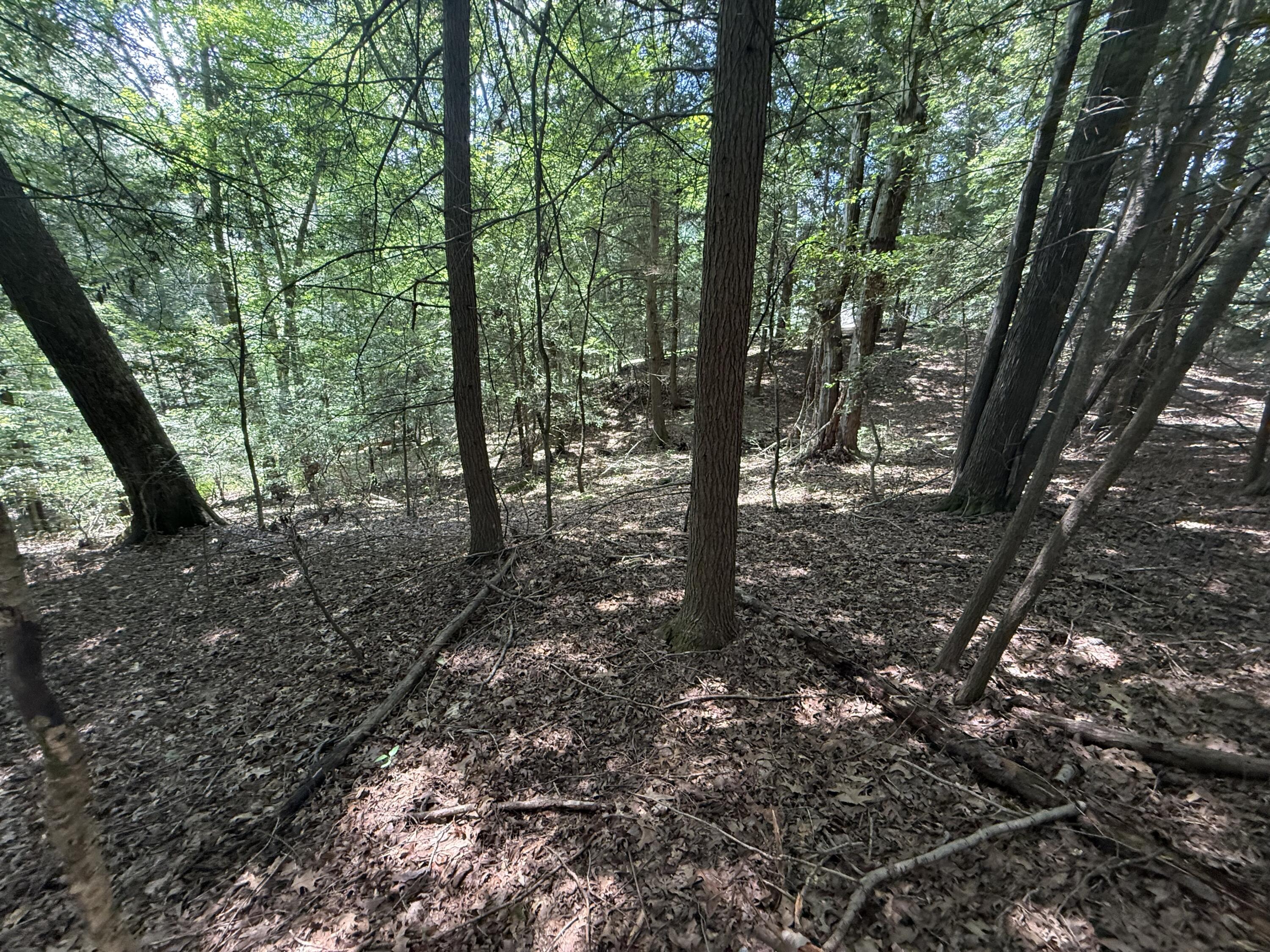 3095 Hill Springs Drive Property Photo 63