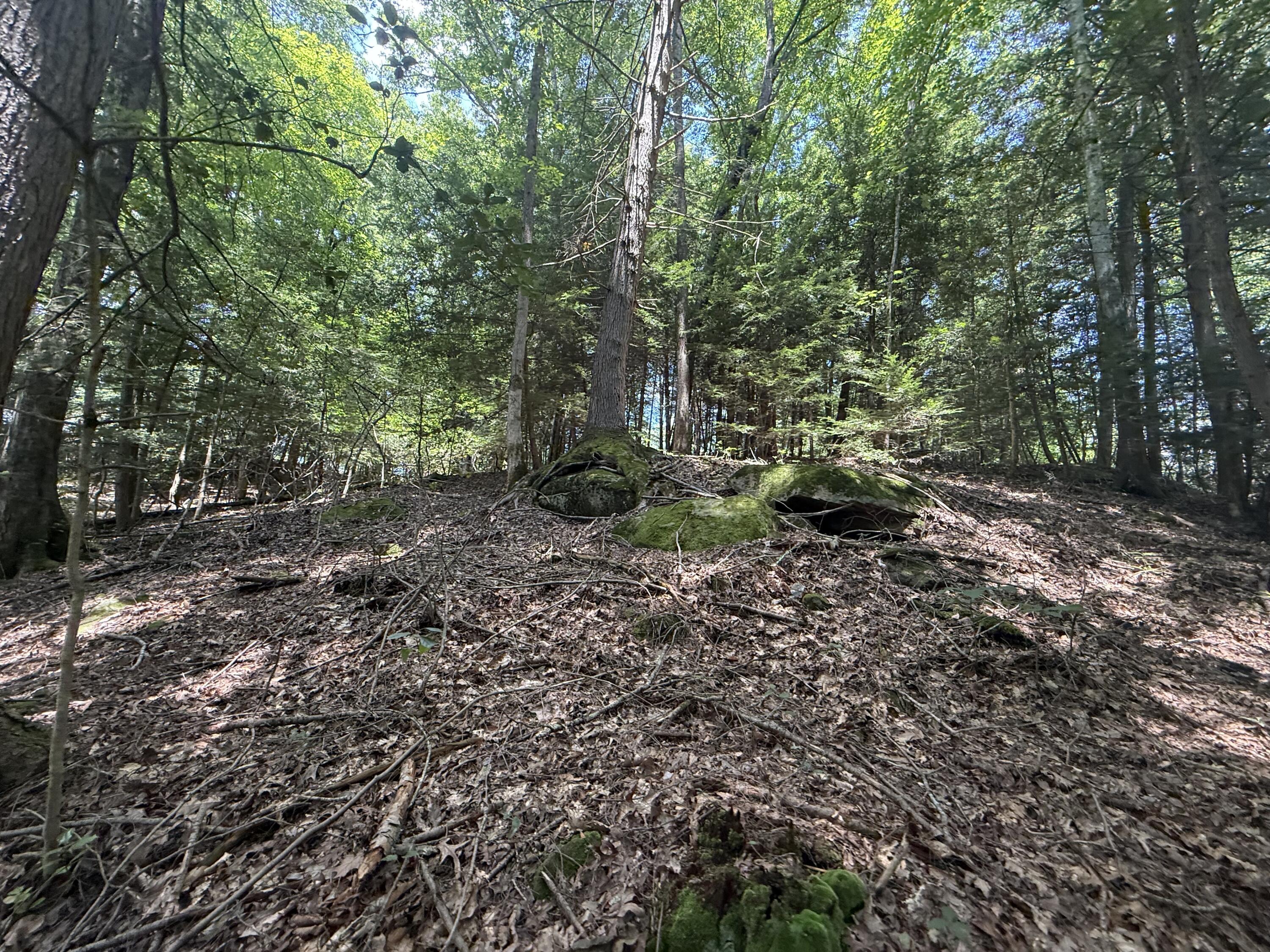 3095 Hill Springs Drive Property Photo 66