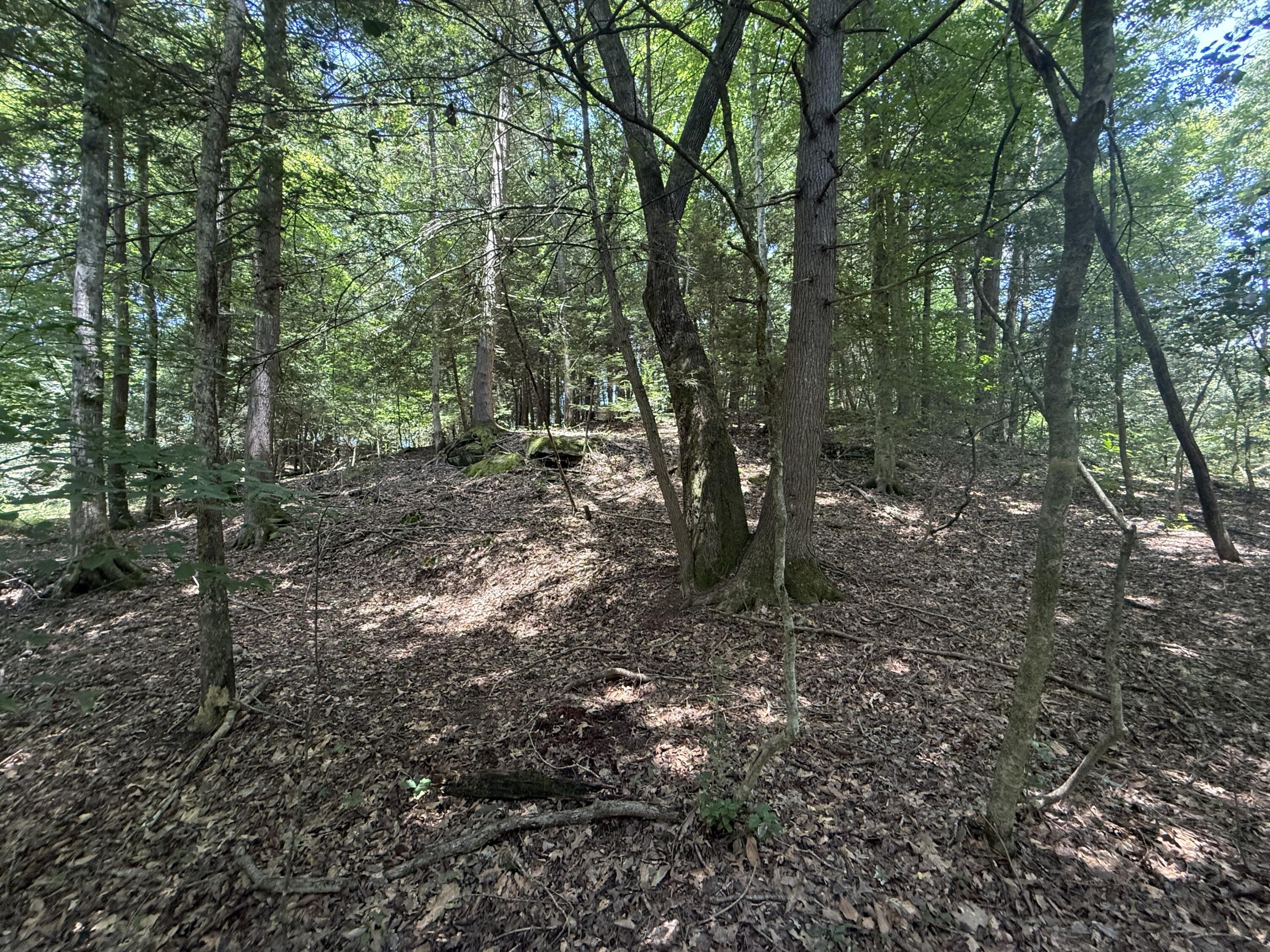 3095 Hill Springs Drive Property Photo 68
