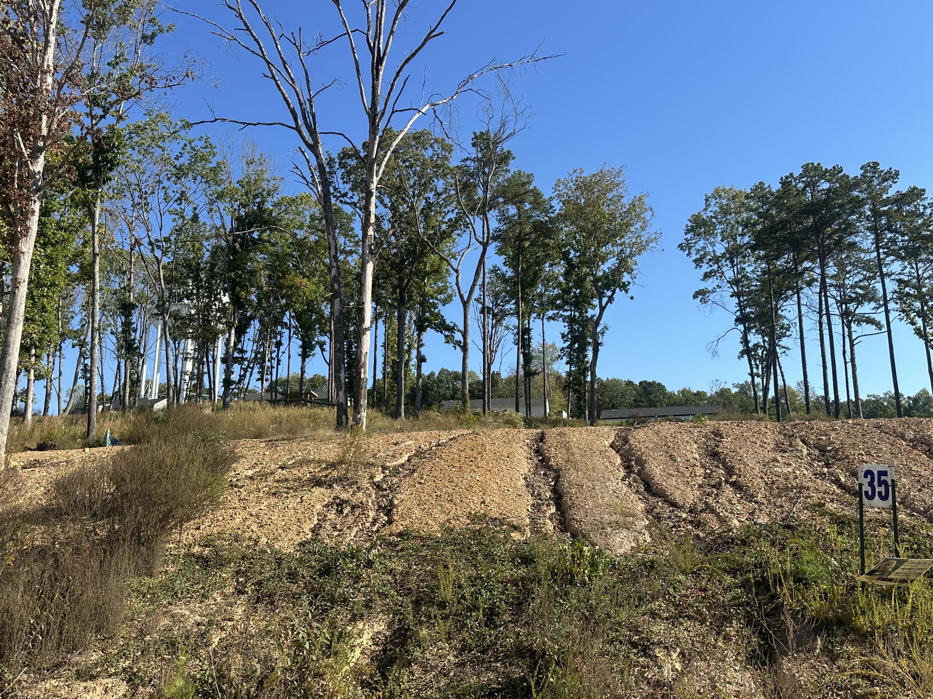 76 Malibu Drive Lot 35 Property Photo 8