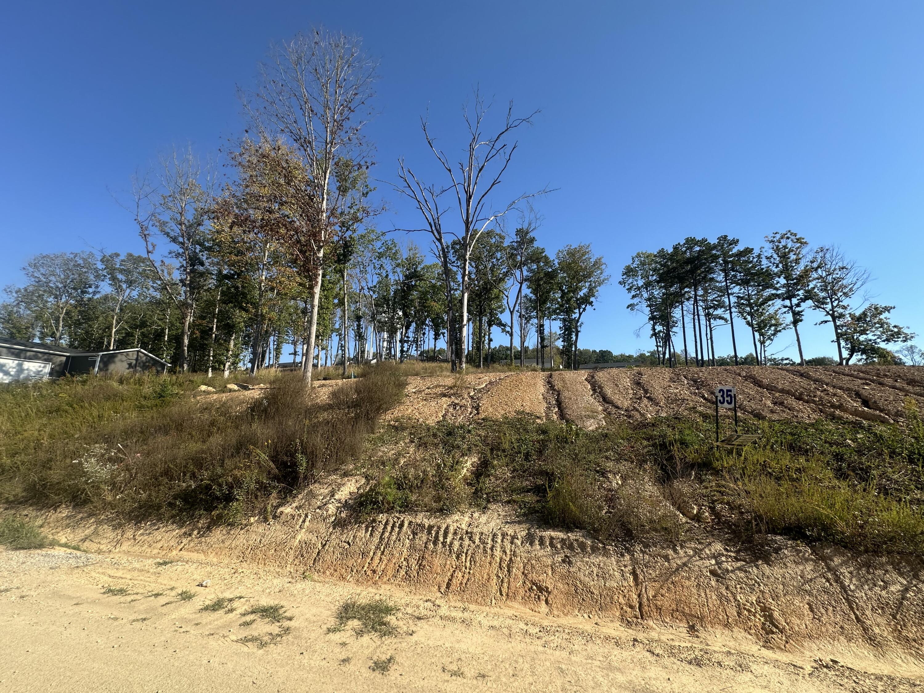 76 Malibu Drive Lot 35 Property Photo 9