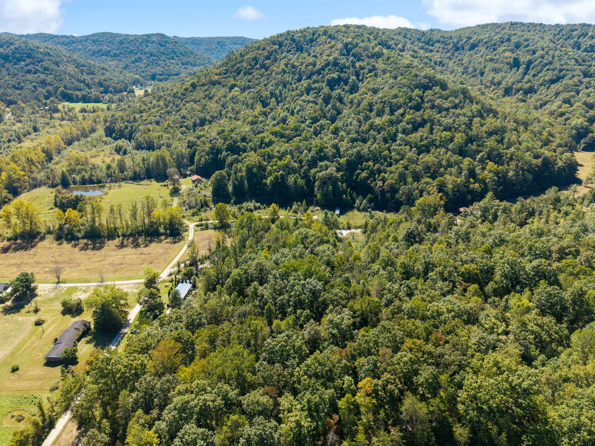 283 James Crowe Hollow Road Property Photo 18