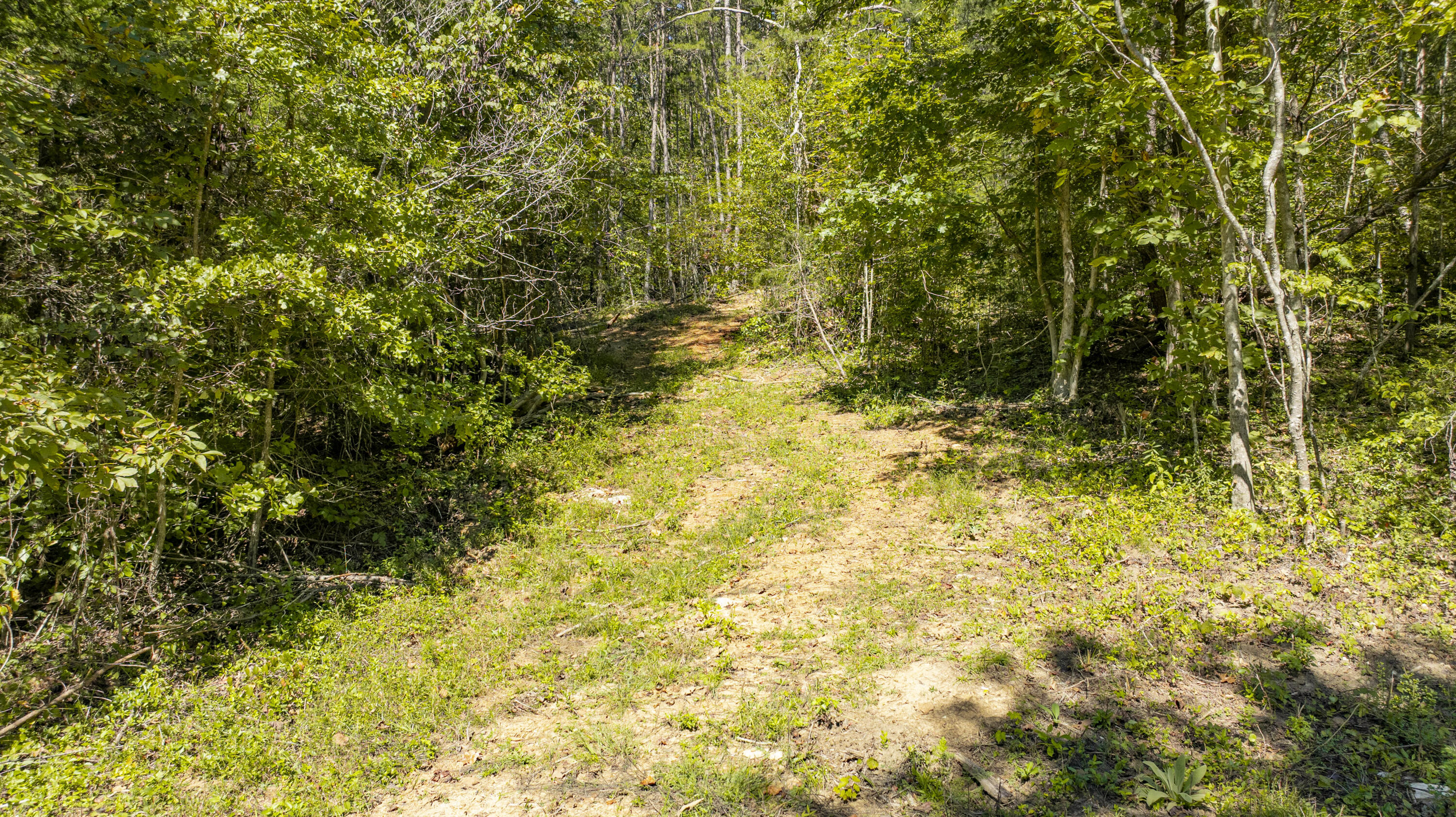 6777 E Highway 92 Property Photo 20