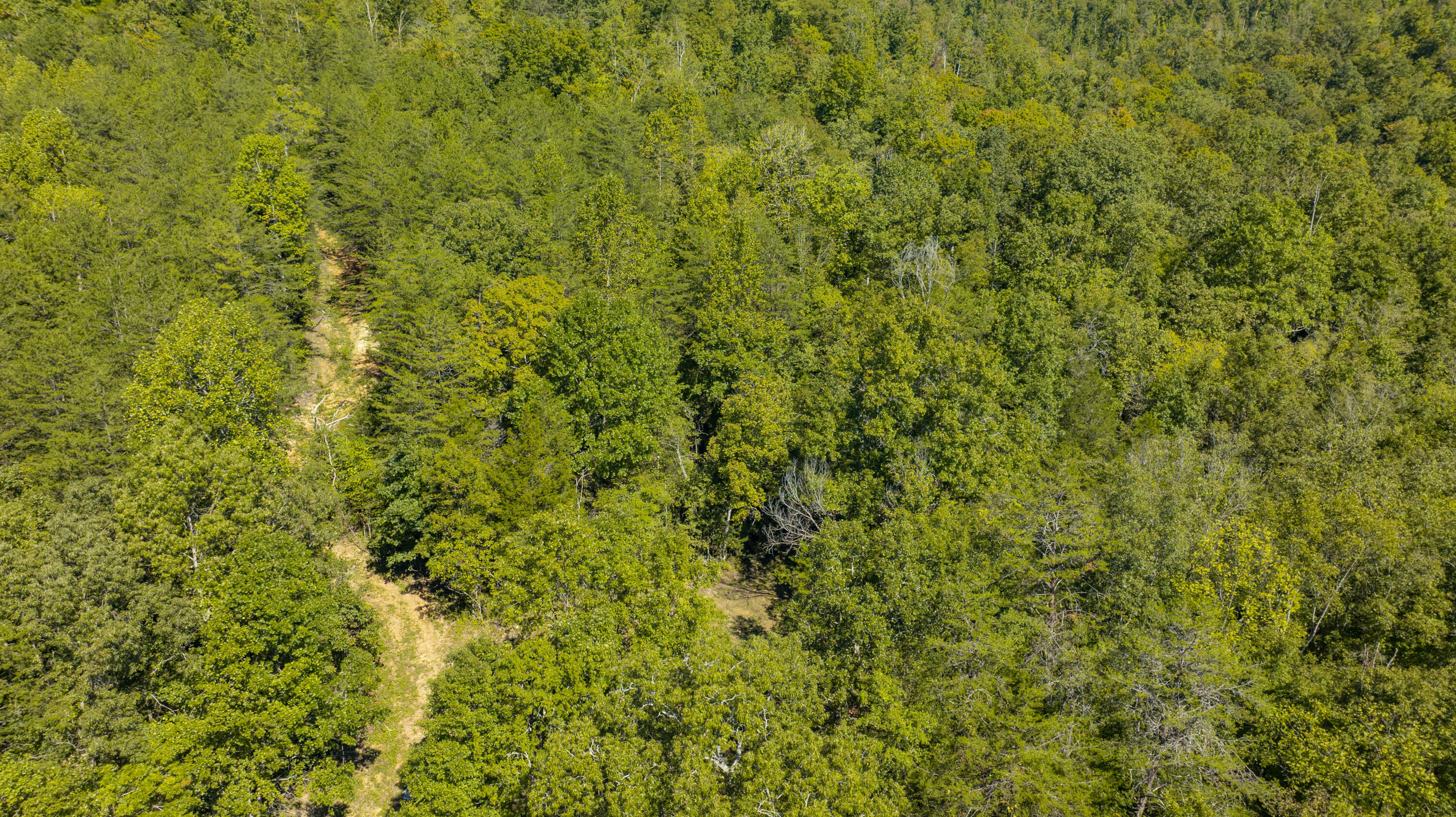 6777 E Highway 92 Property Photo 23
