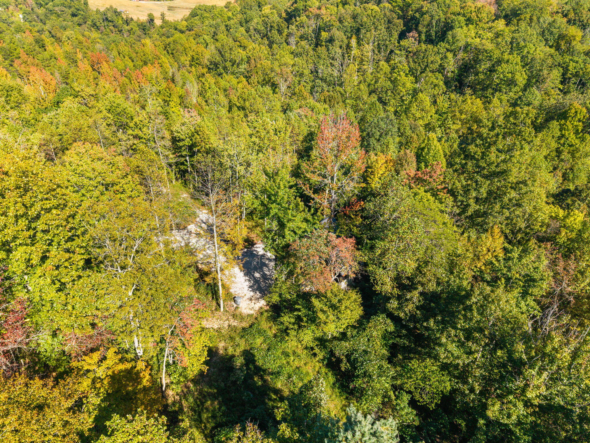 408 Spring Hollow Road Property Photo 11