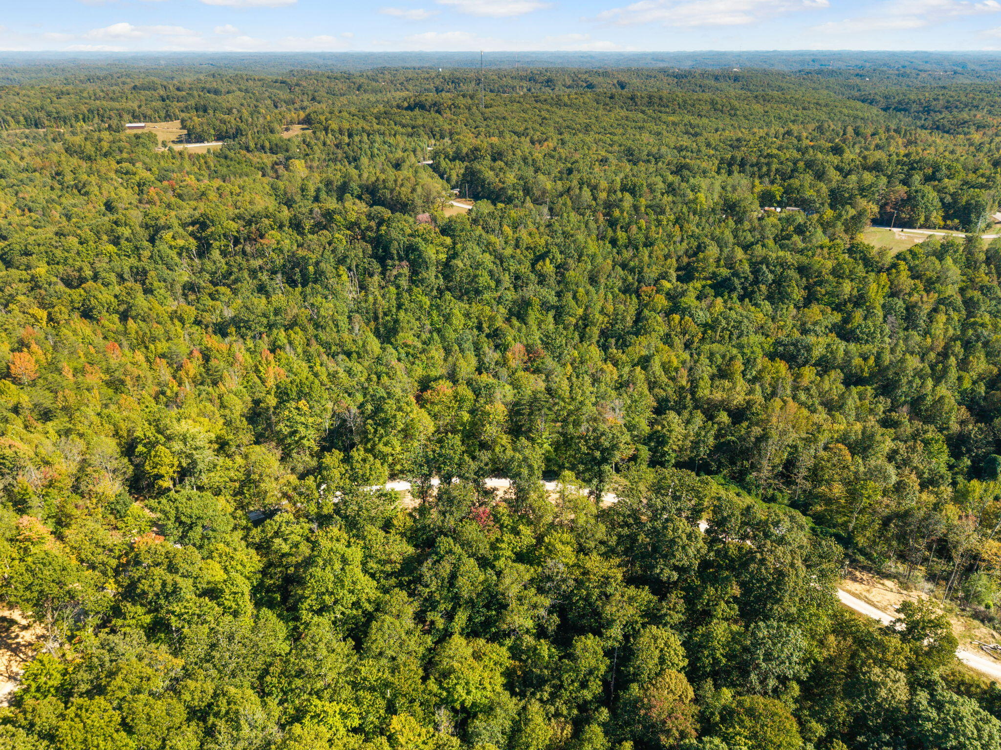 408 Spring Hollow Road Property Photo 13