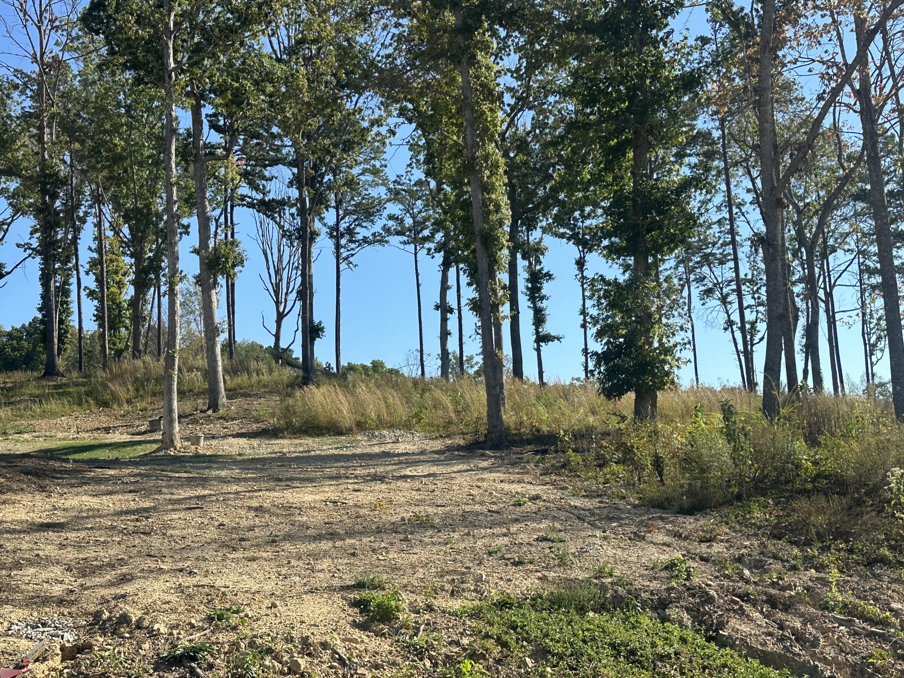 100 Malibu Drive Lot 36 Property Photo 1