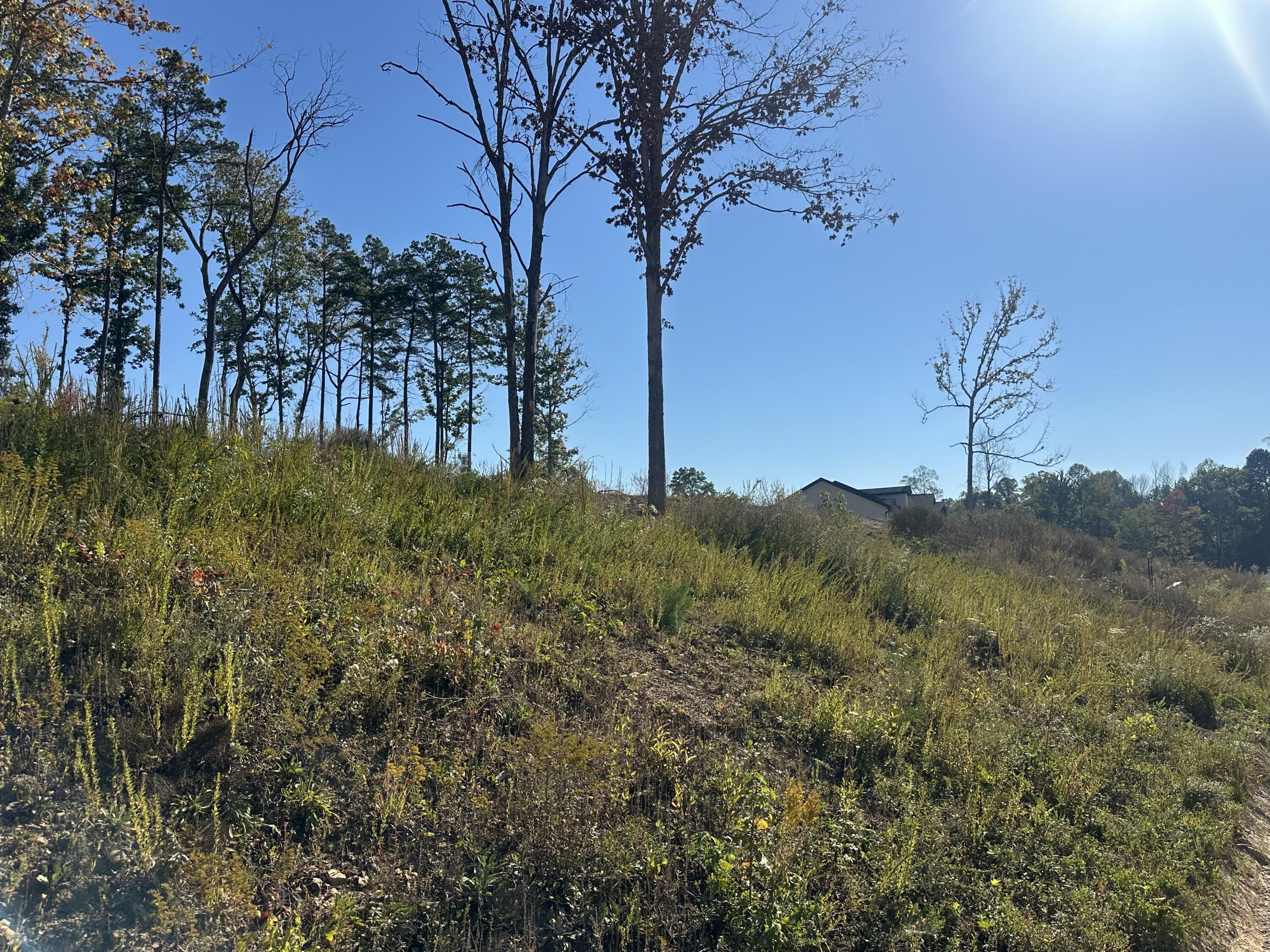 100 Malibu Drive Lot 36 Property Photo 4