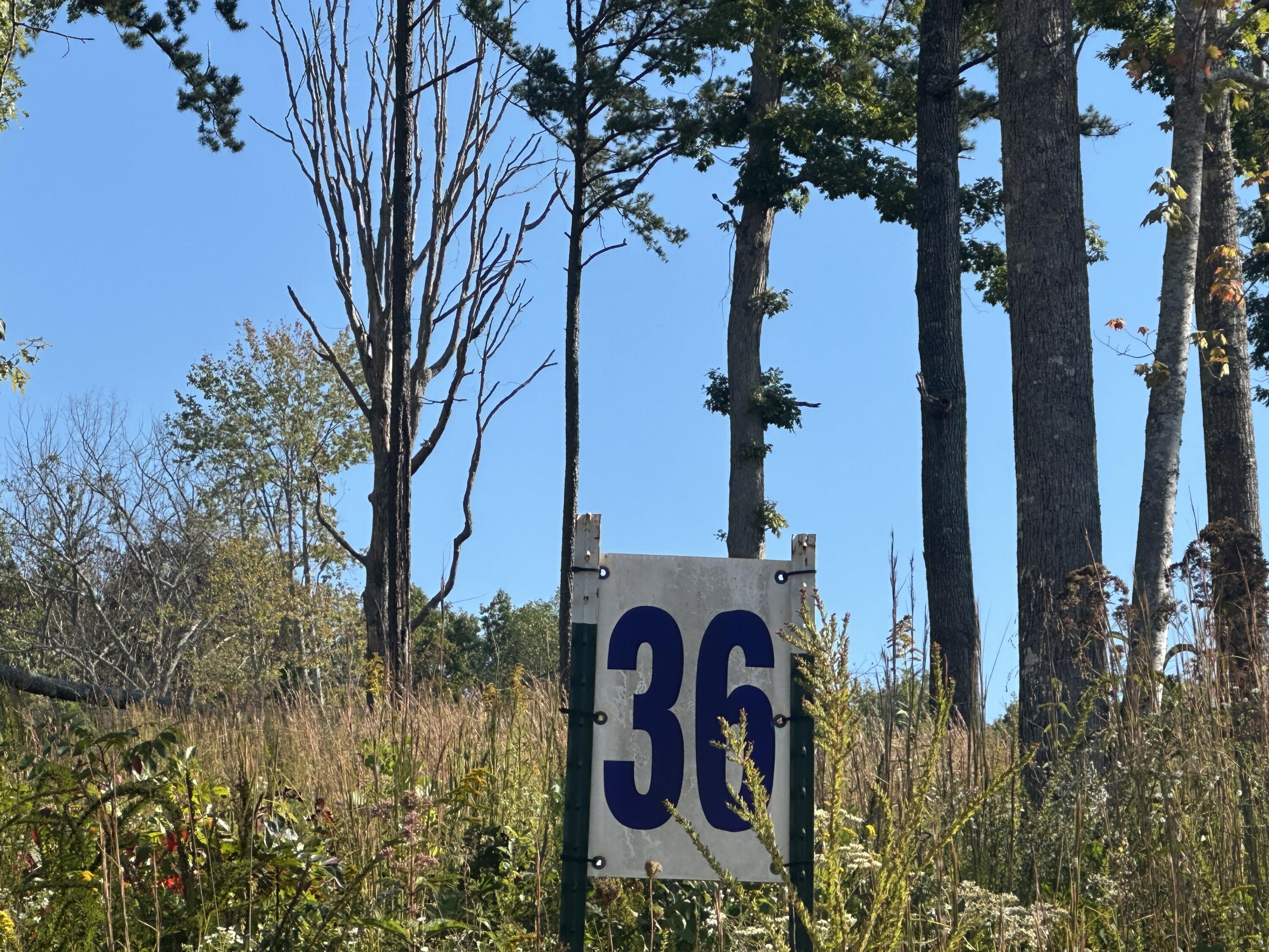 100 Malibu Drive Lot 36 Property Photo 6