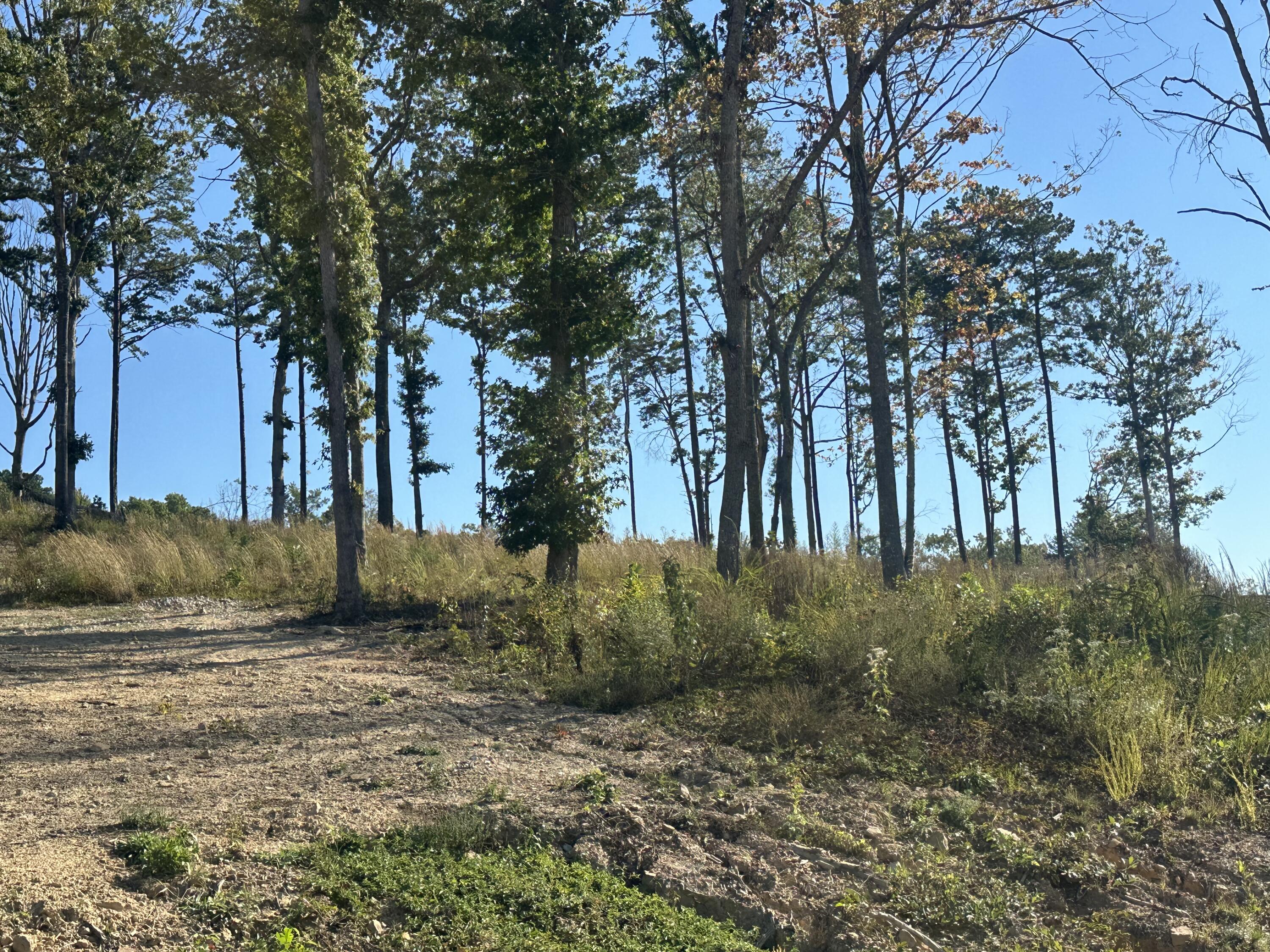 100 Malibu Drive Lot 36 Property Photo 7