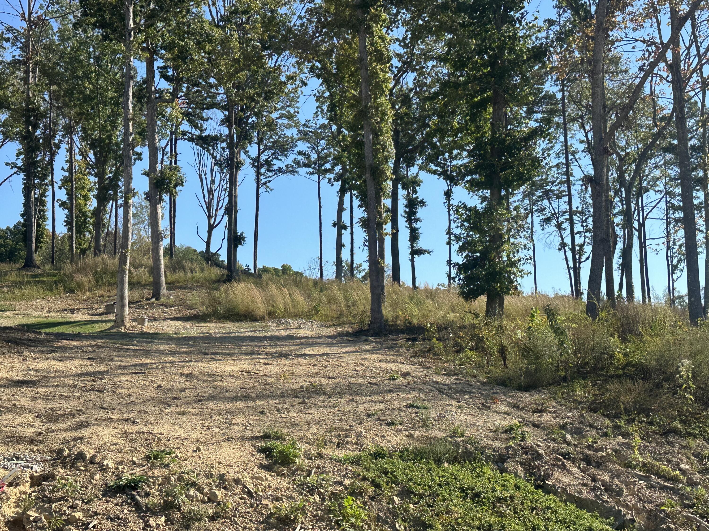 100 Malibu Drive Lot 36 Property Photo 8