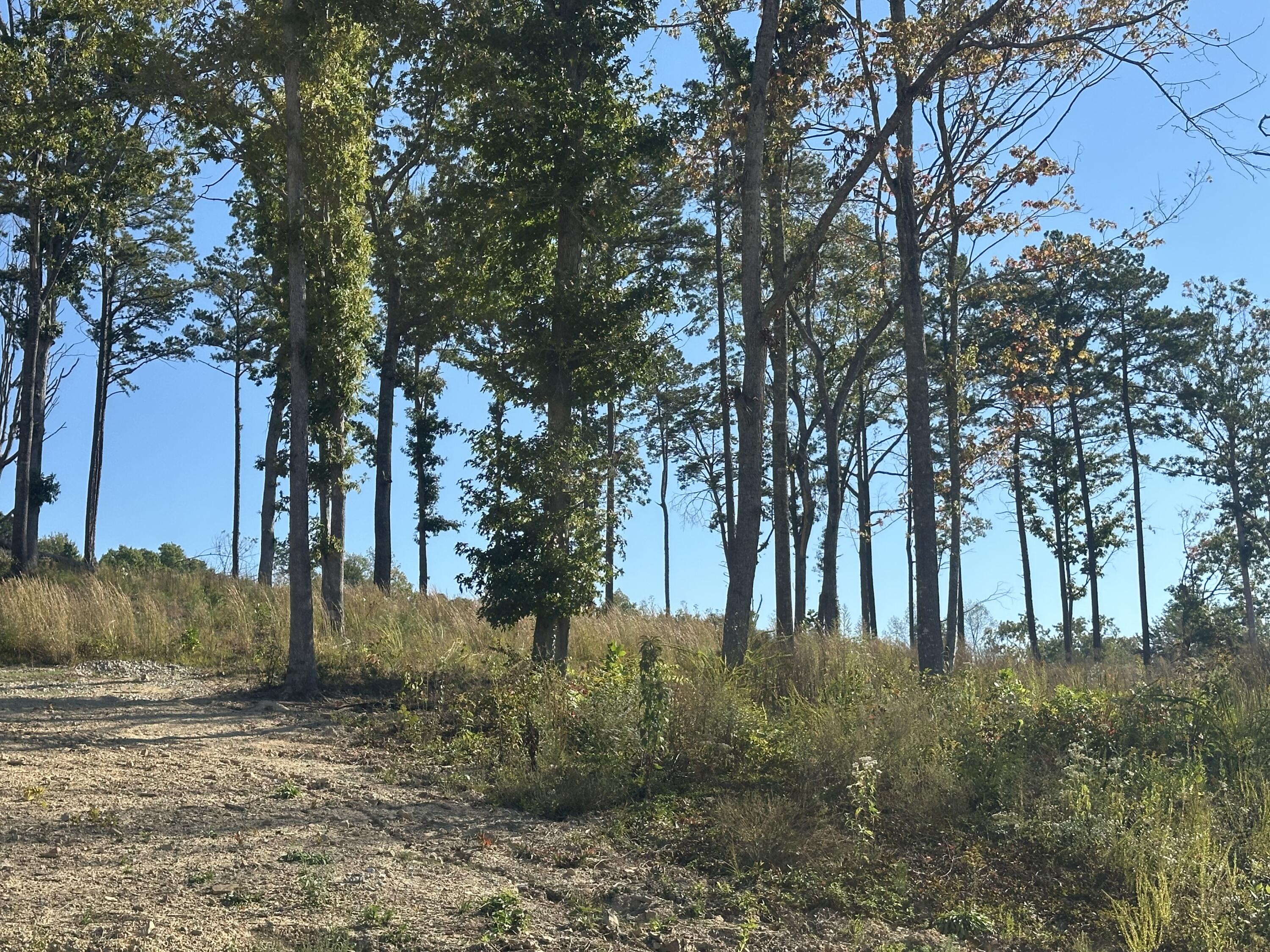 100 Malibu Drive Lot 36 Property Photo 11