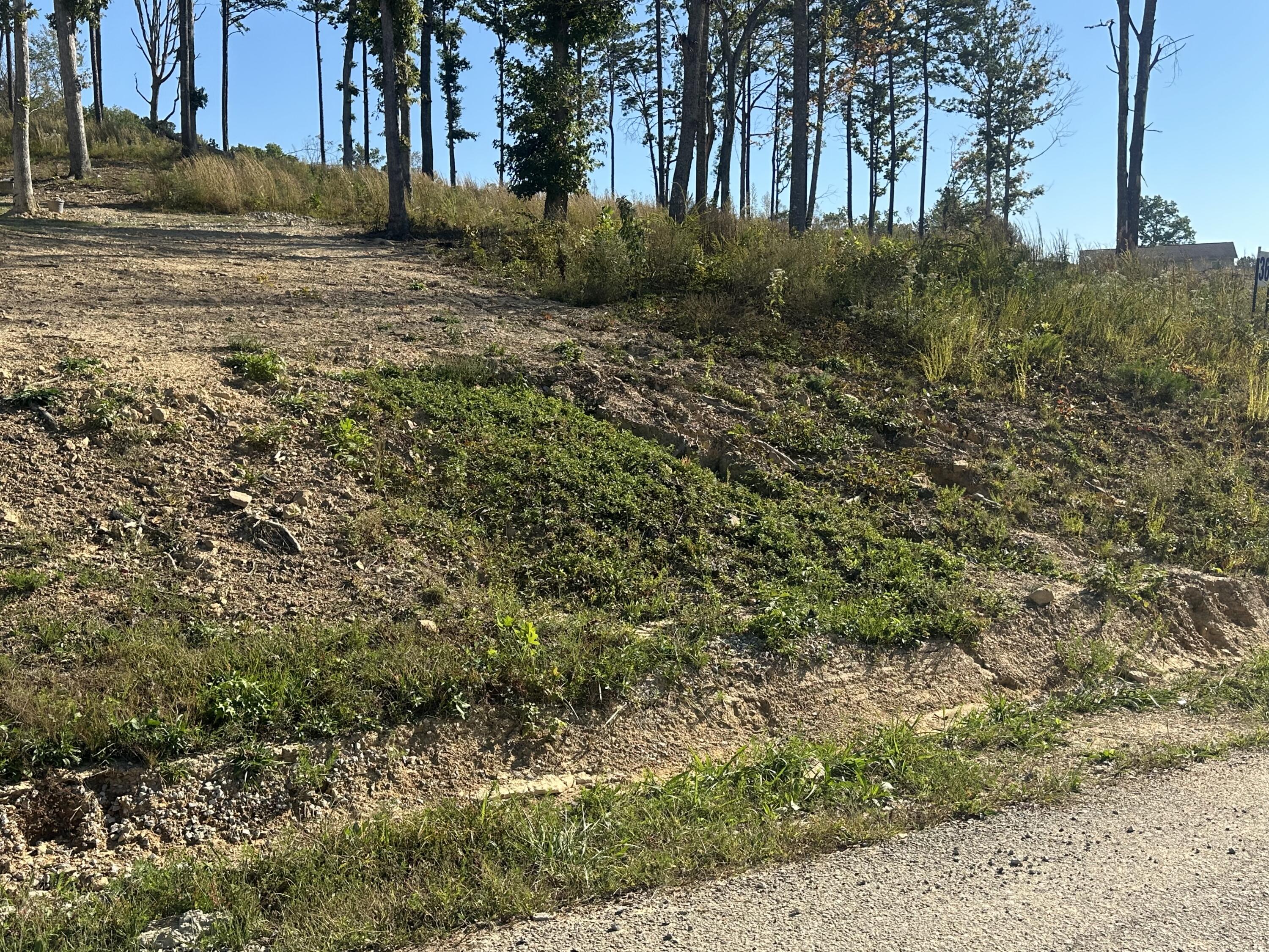 100 Malibu Drive Lot 36 Property Photo 12
