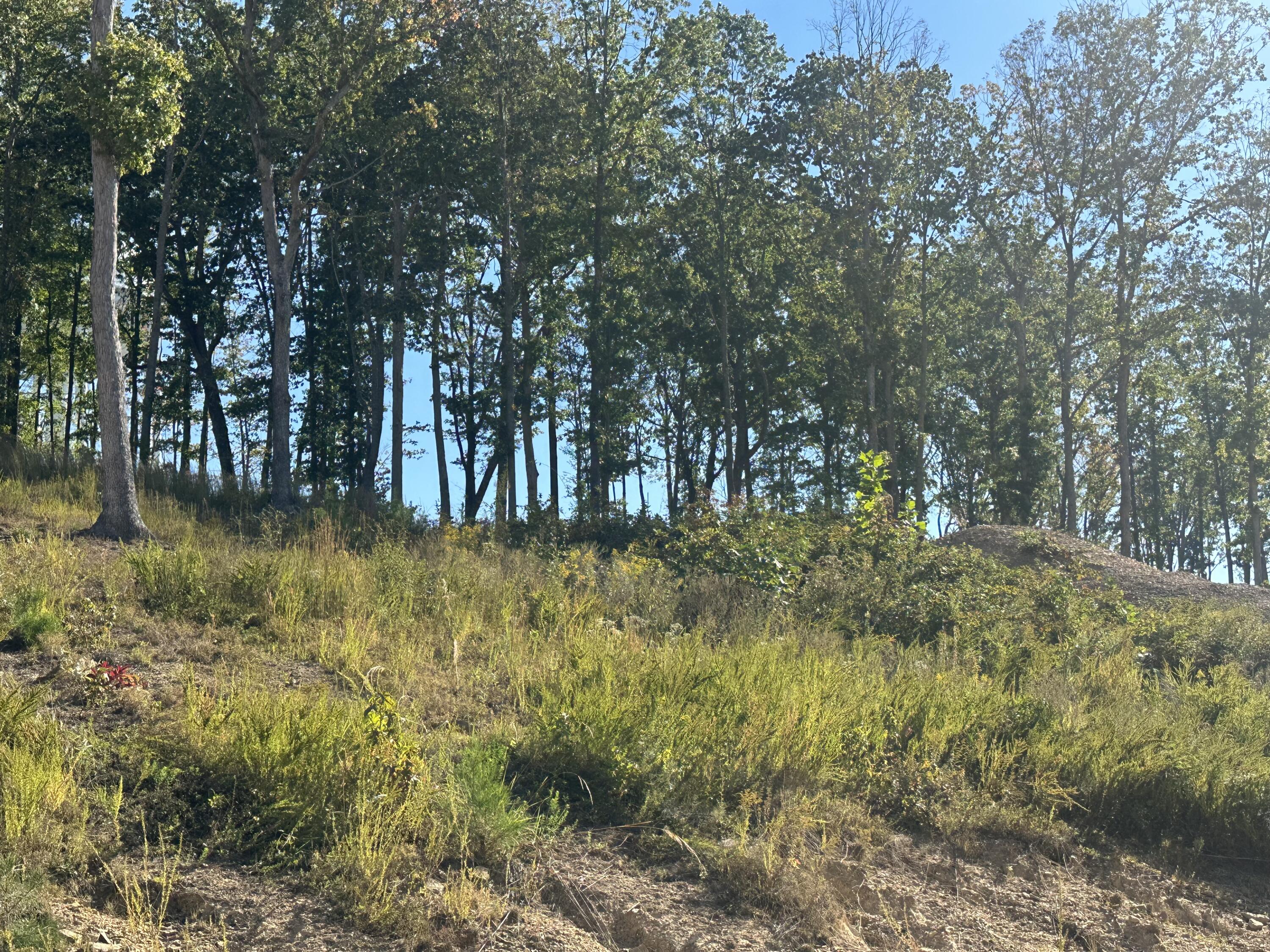 200 Malibu Drive Lot 41 Property Photo 1