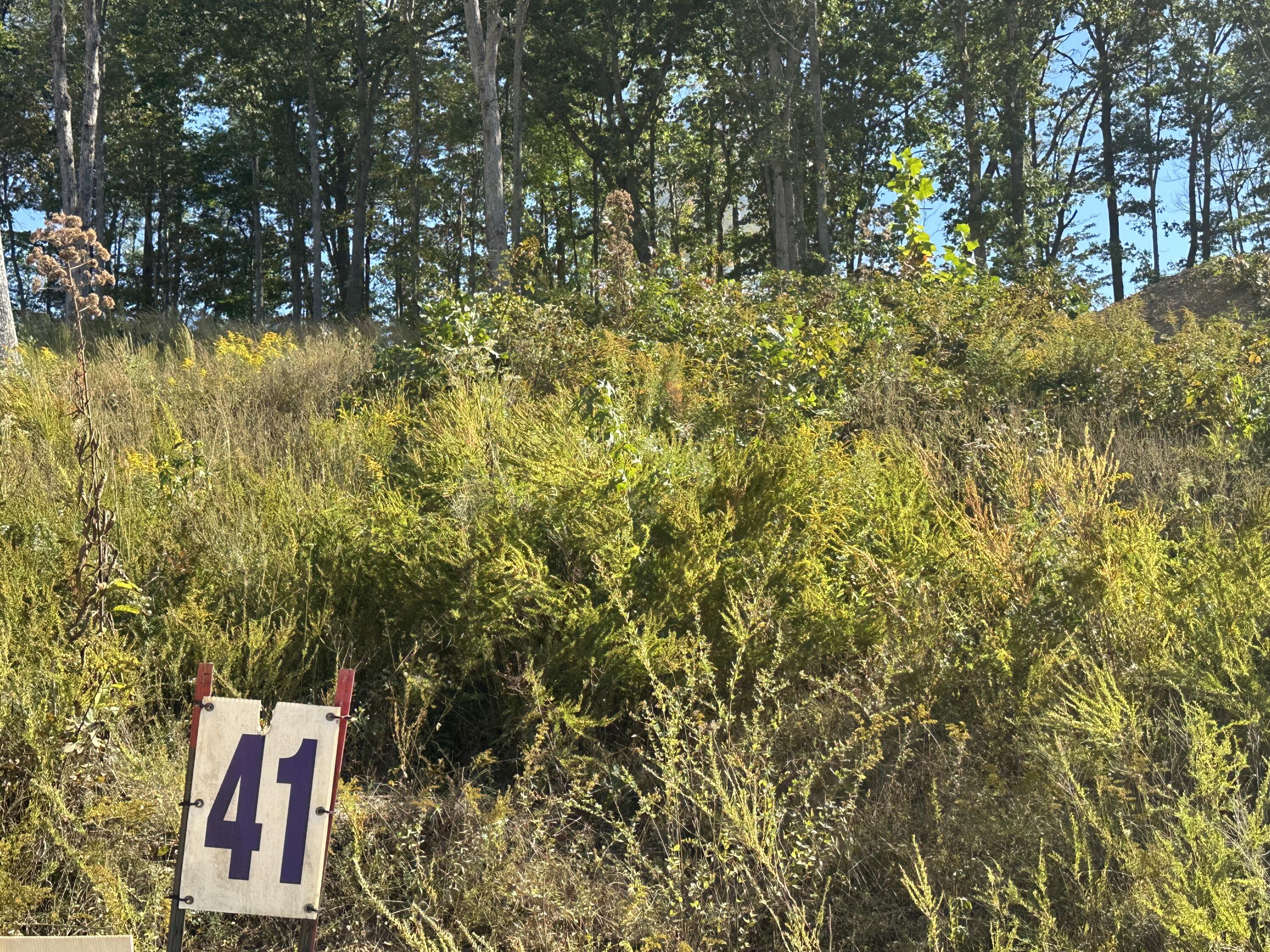 200 Malibu Drive Lot 41 Property Photo 2
