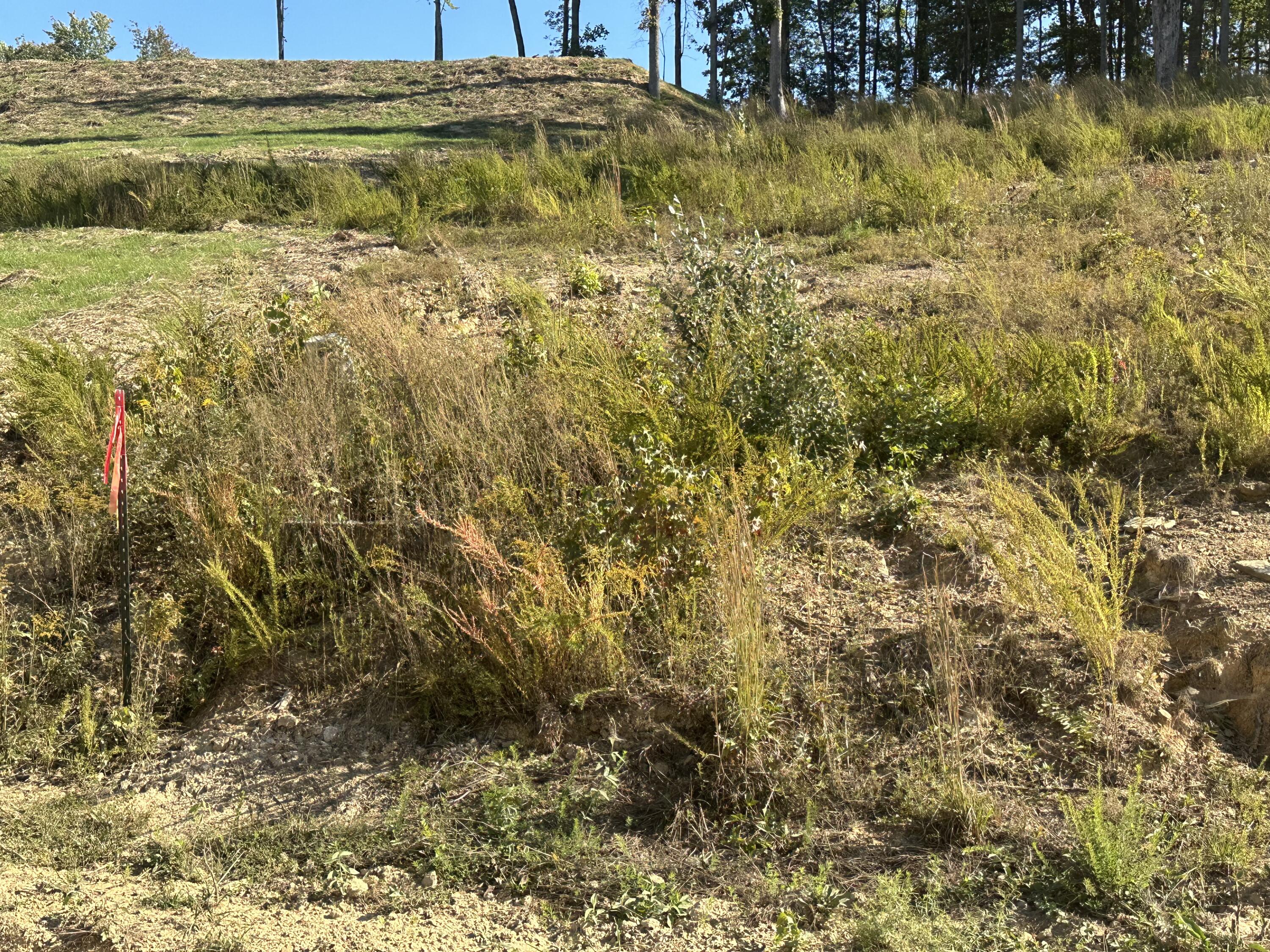200 Malibu Drive Lot 41 Property Photo 3