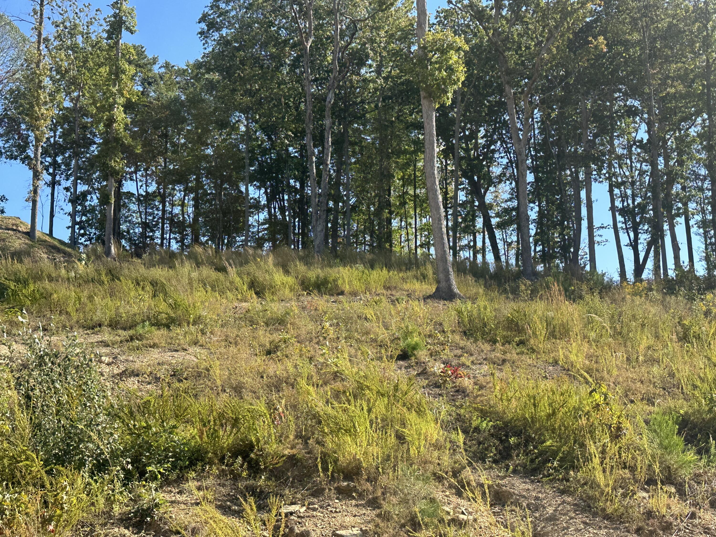200 Malibu Drive Lot 41 Property Photo 7