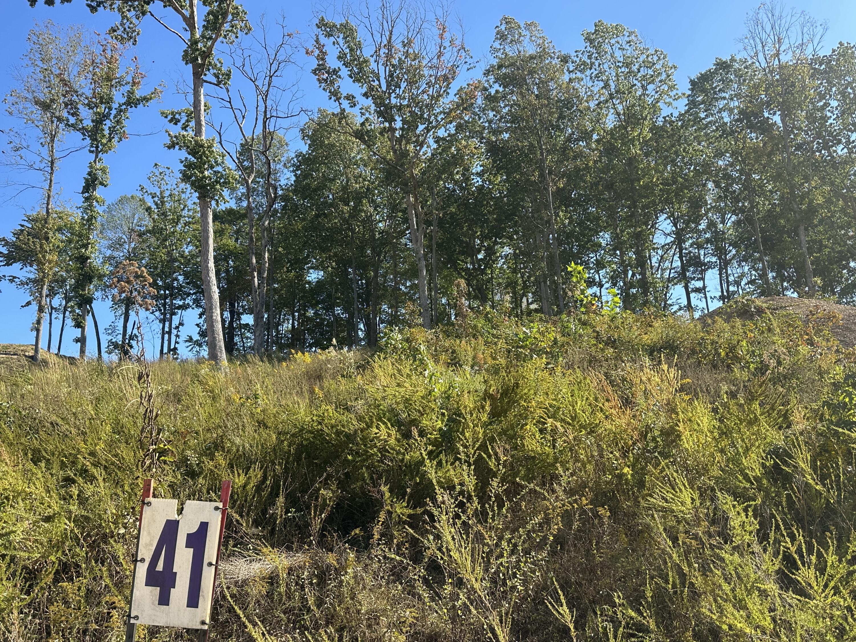 200 Malibu Drive Lot 41 Property Photo 9