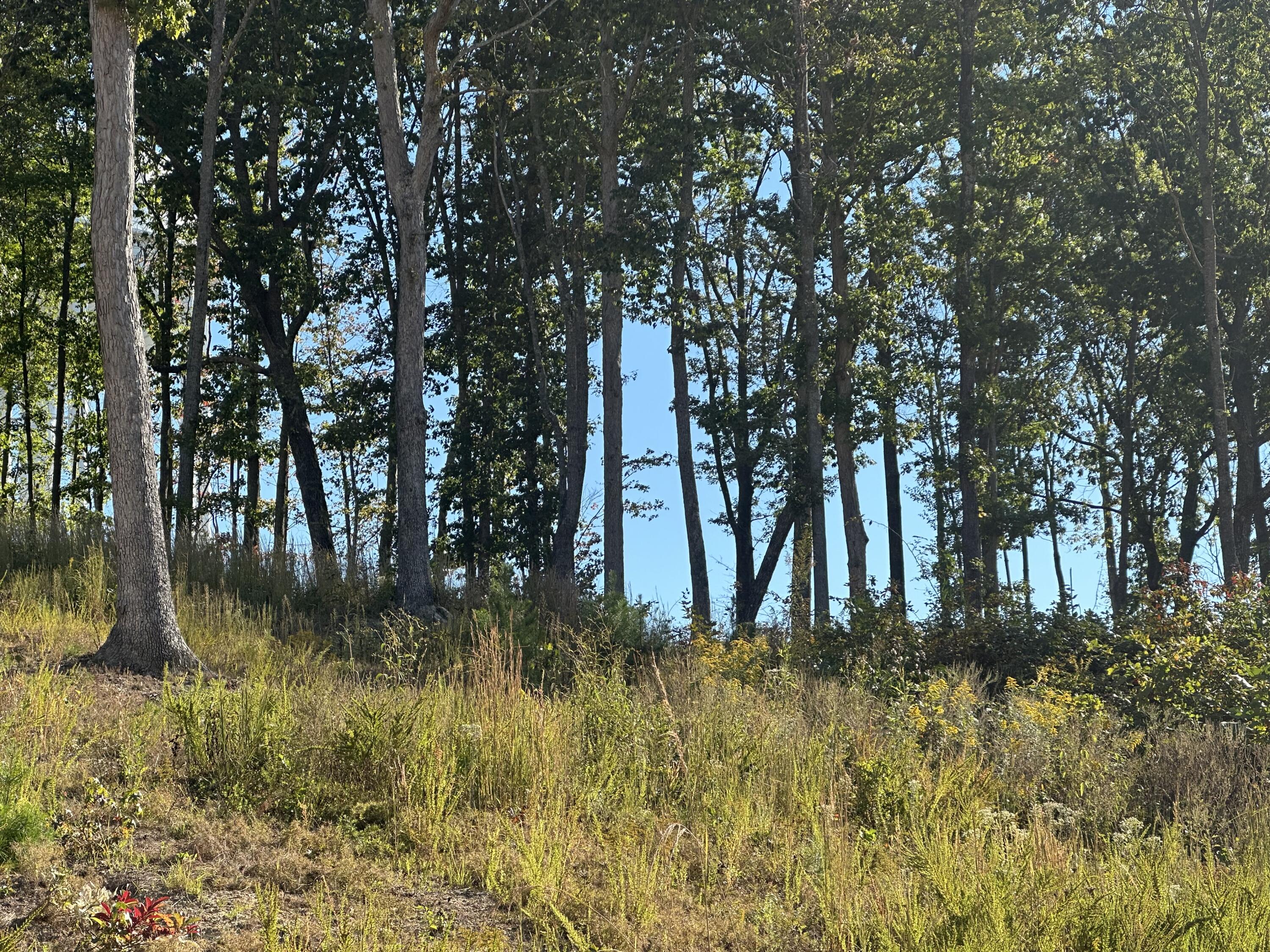 200 Malibu Drive Lot 41 Property Photo 16