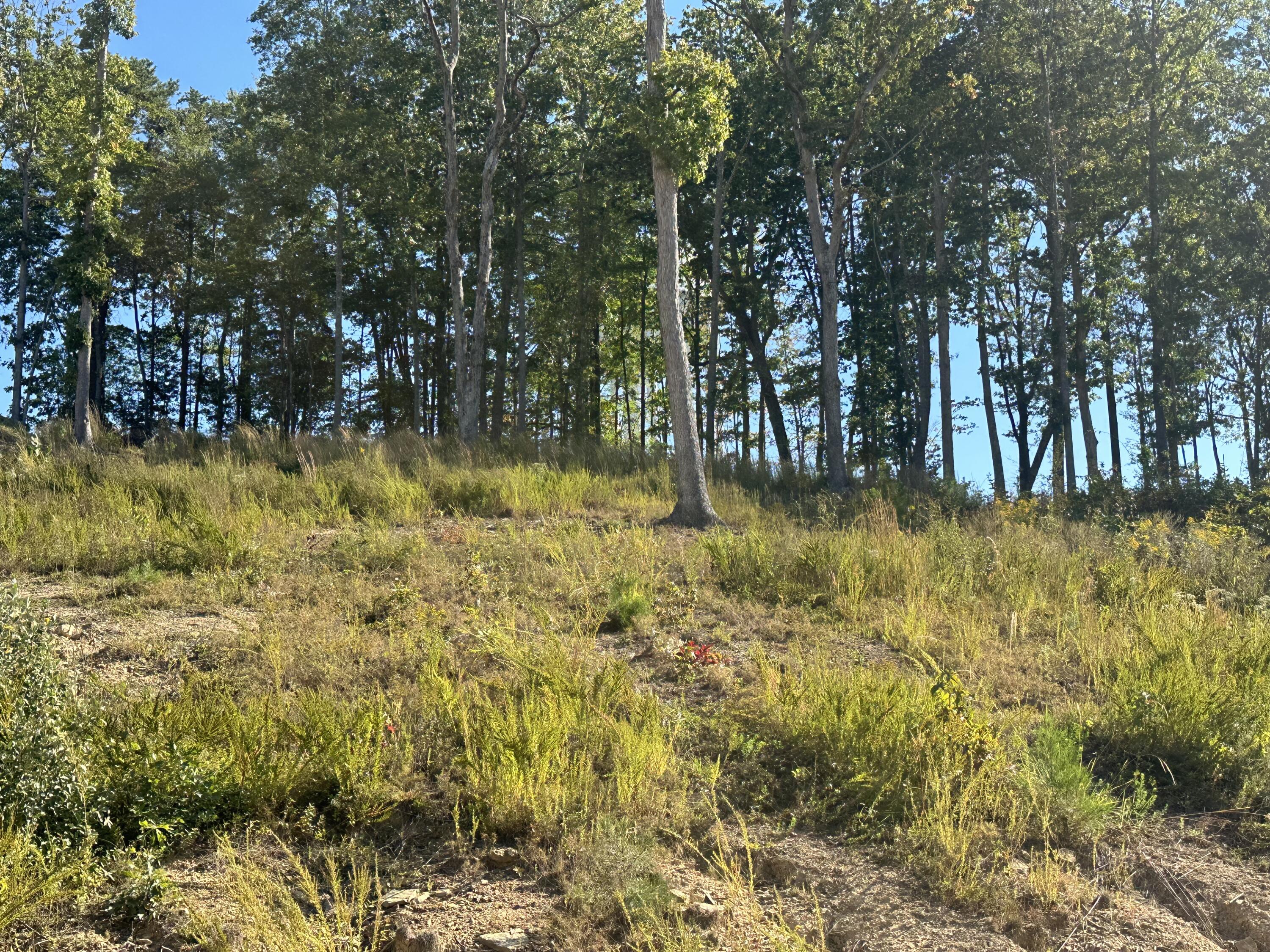 200 Malibu Drive Lot 41 Property Photo 17