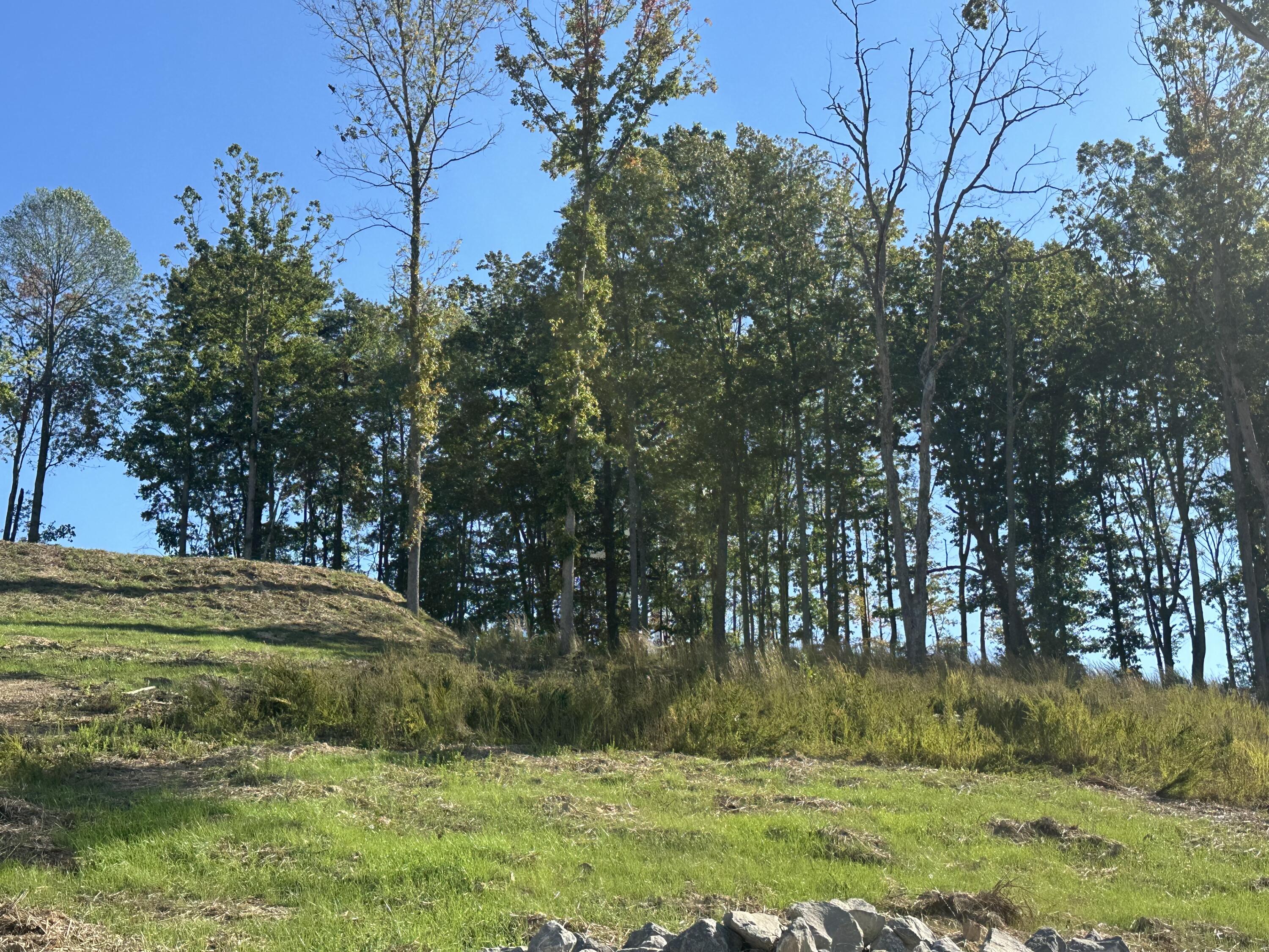 222 Malibu Drive Lot 42 Property Photo 7