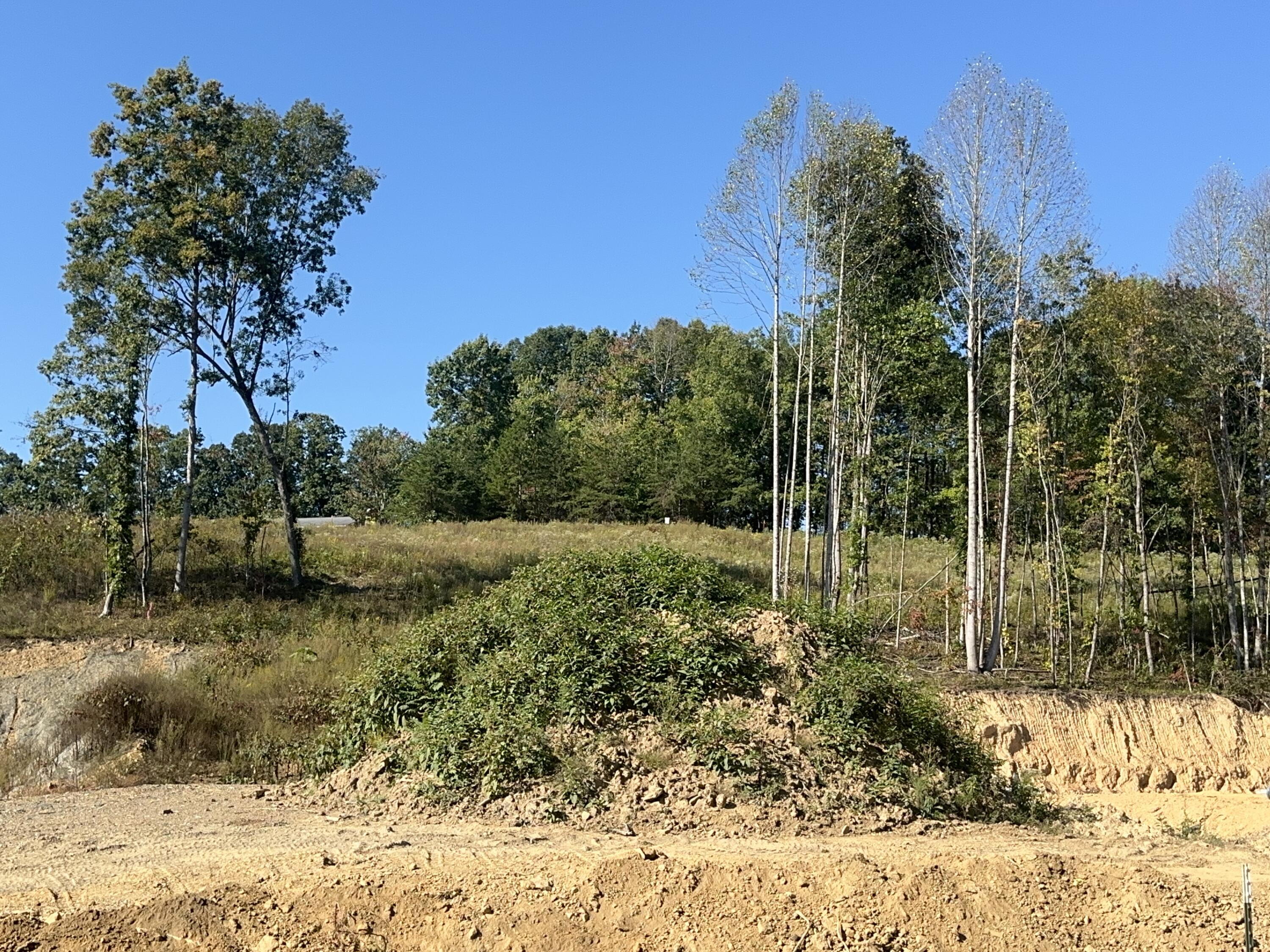 171 Malibu Drive Lot 54 Property Photo 1