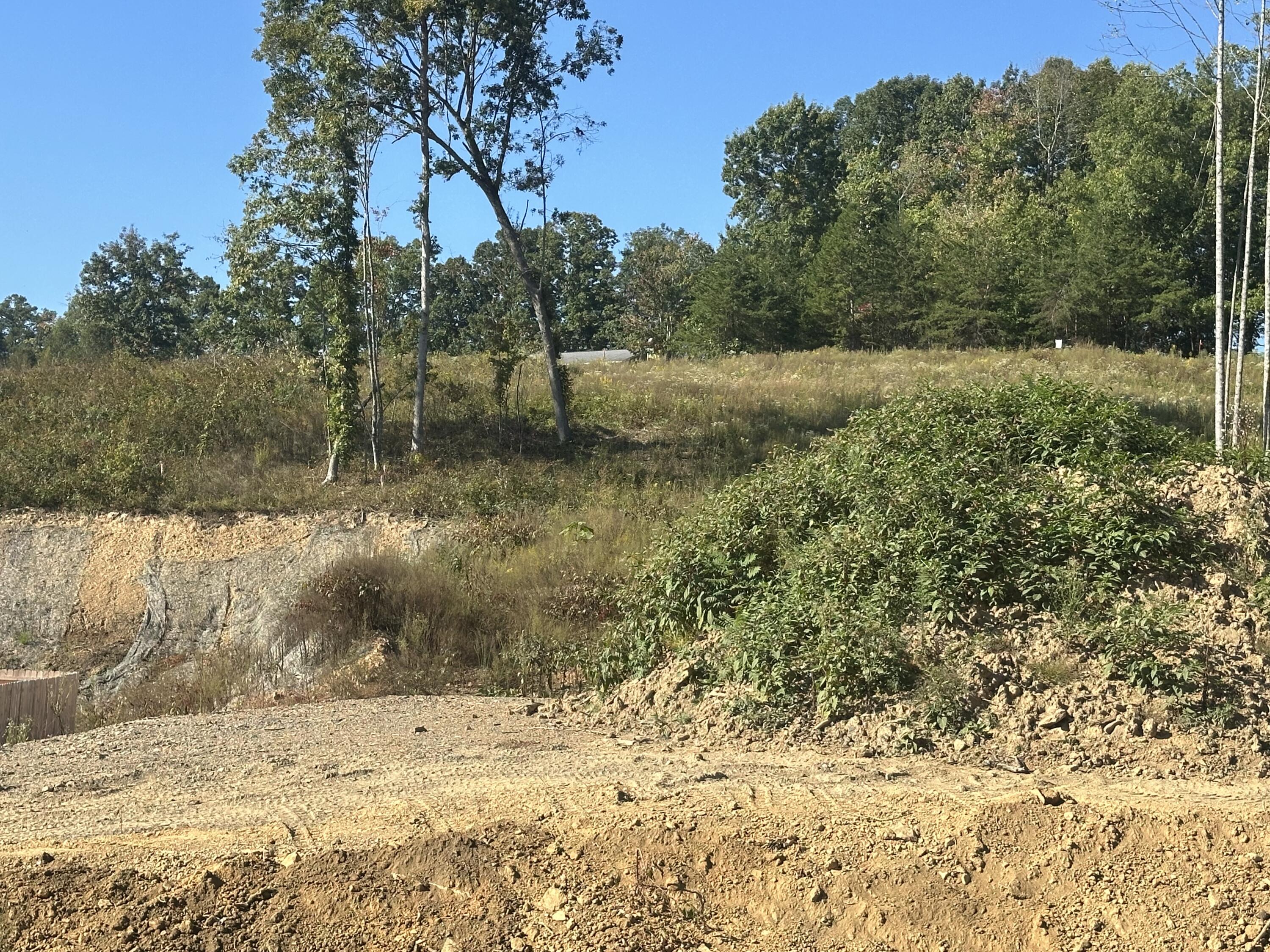 171 Malibu Drive Lot 54 Property Photo 6