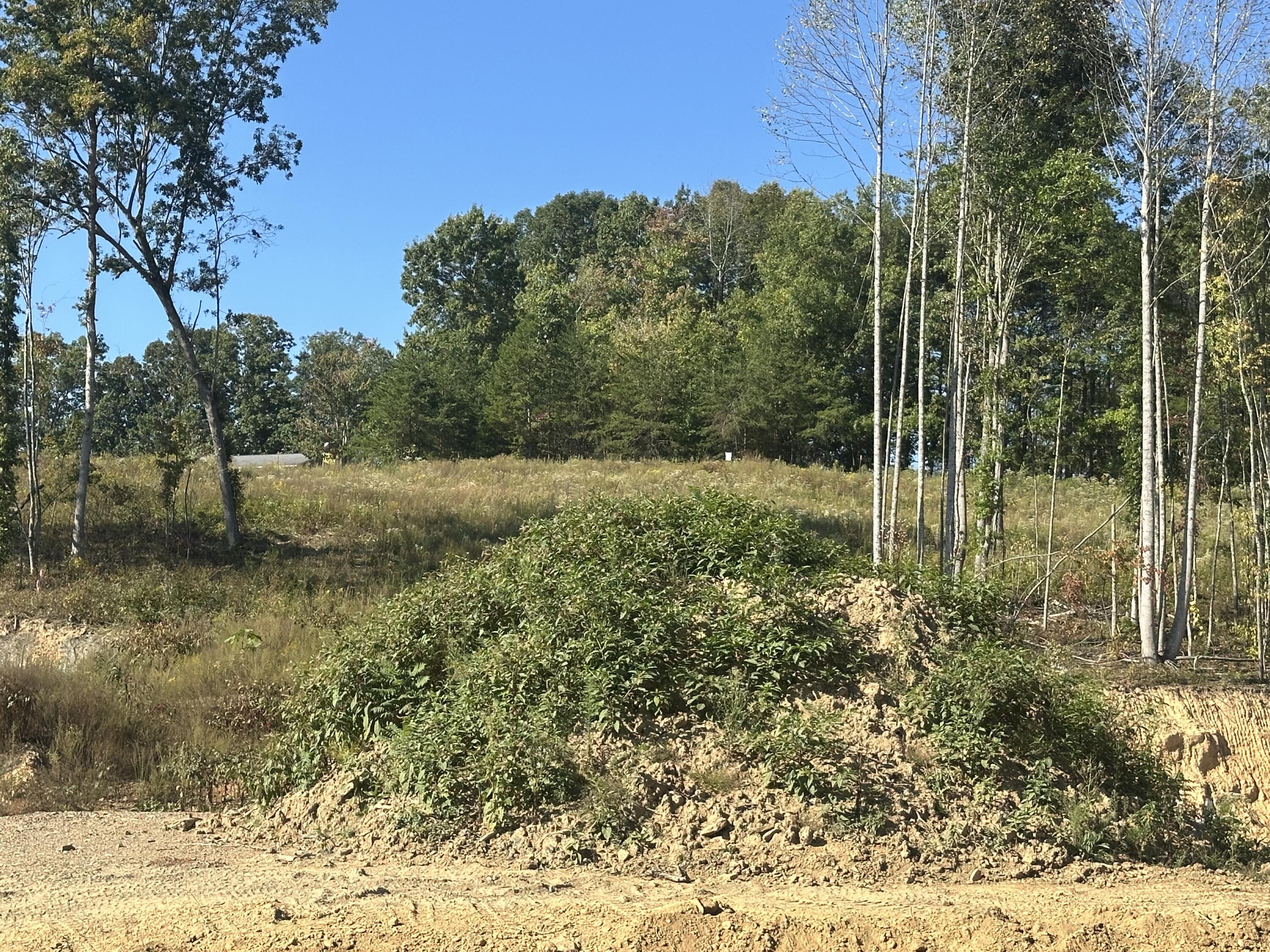 171 Malibu Drive Lot 54 Property Photo 7