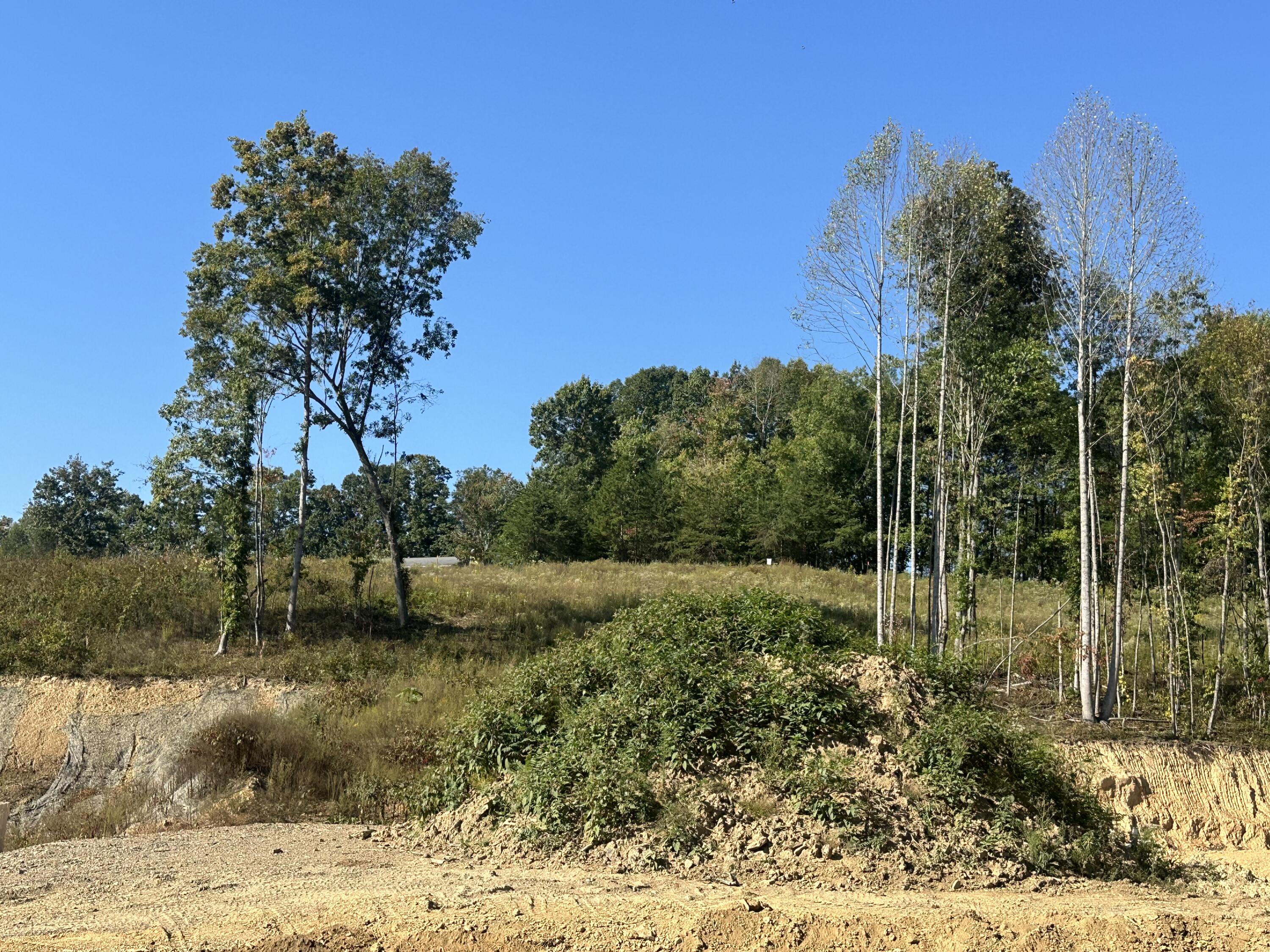 171 Malibu Drive Lot 54 Property Photo 11