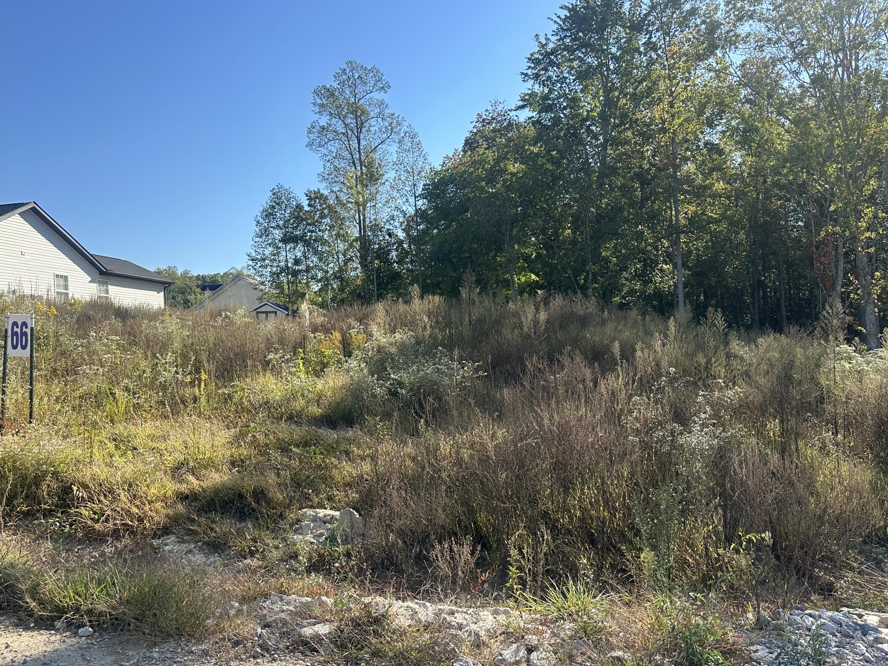 405 Hollywood Drive Lot 66 Property Photo 5