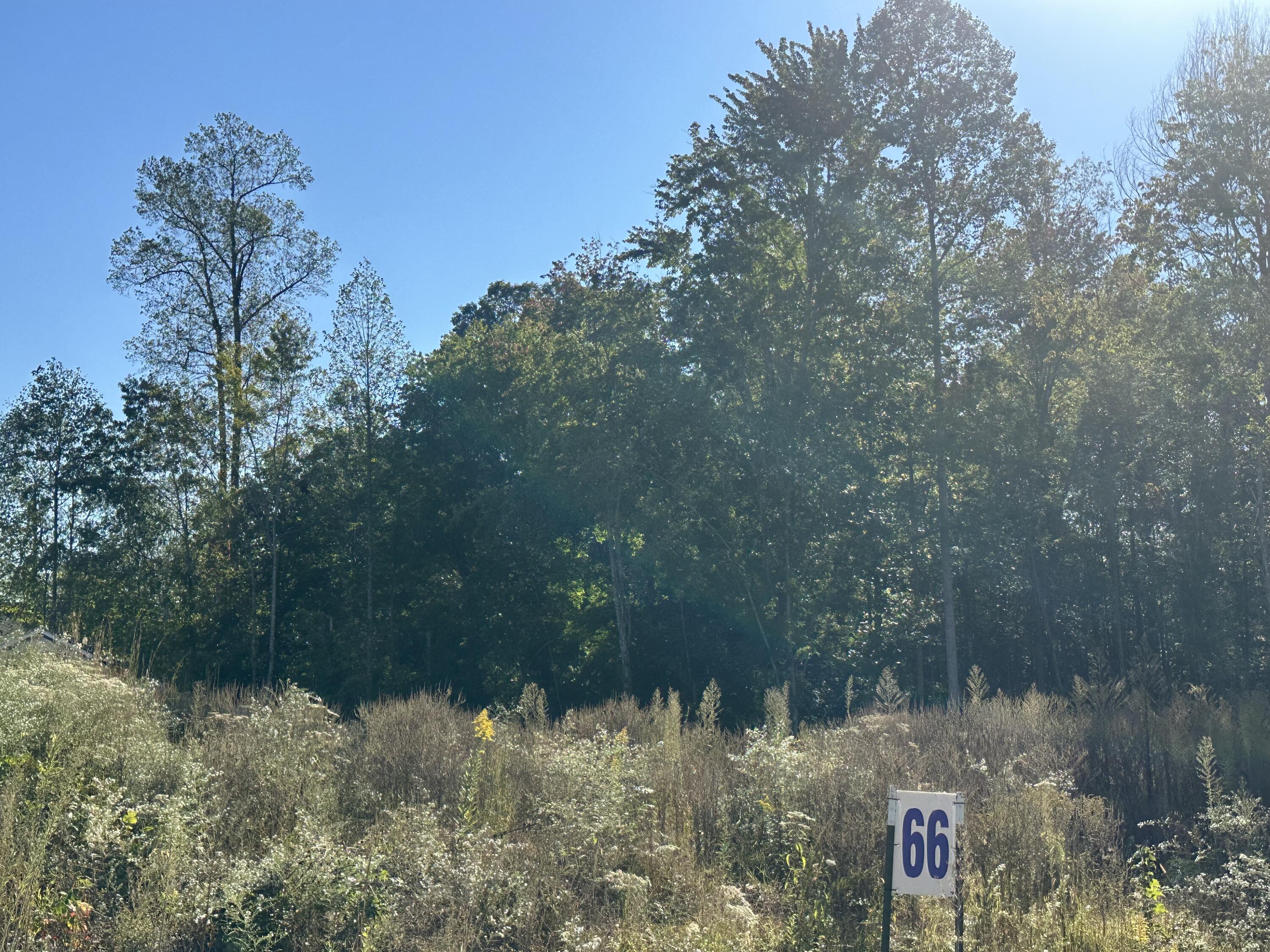 405 Hollywood Drive Lot 66 Property Photo 8