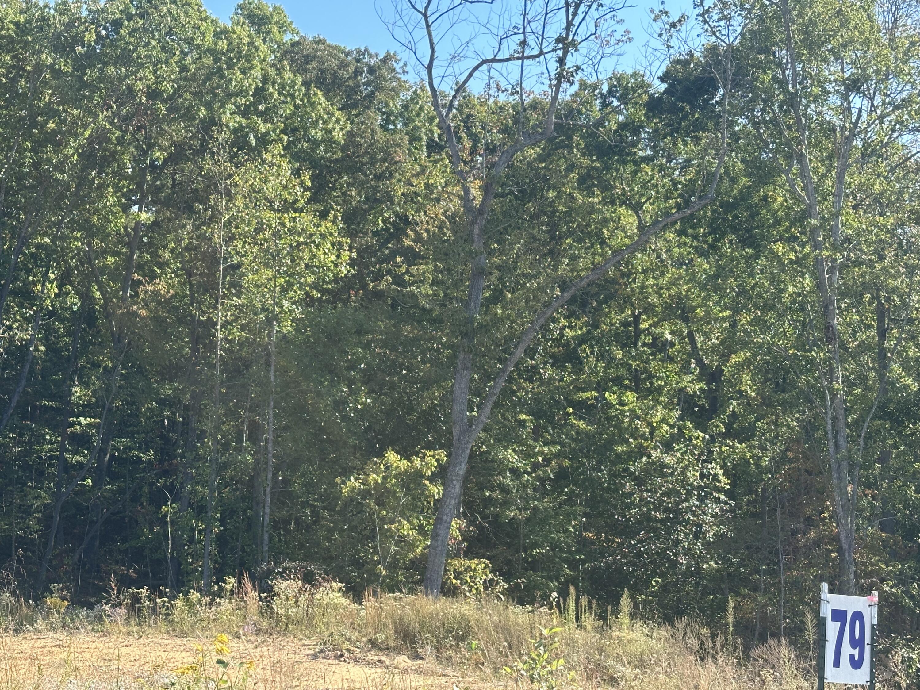 285 Hollywood Drive Lot 79 Property Photo 8