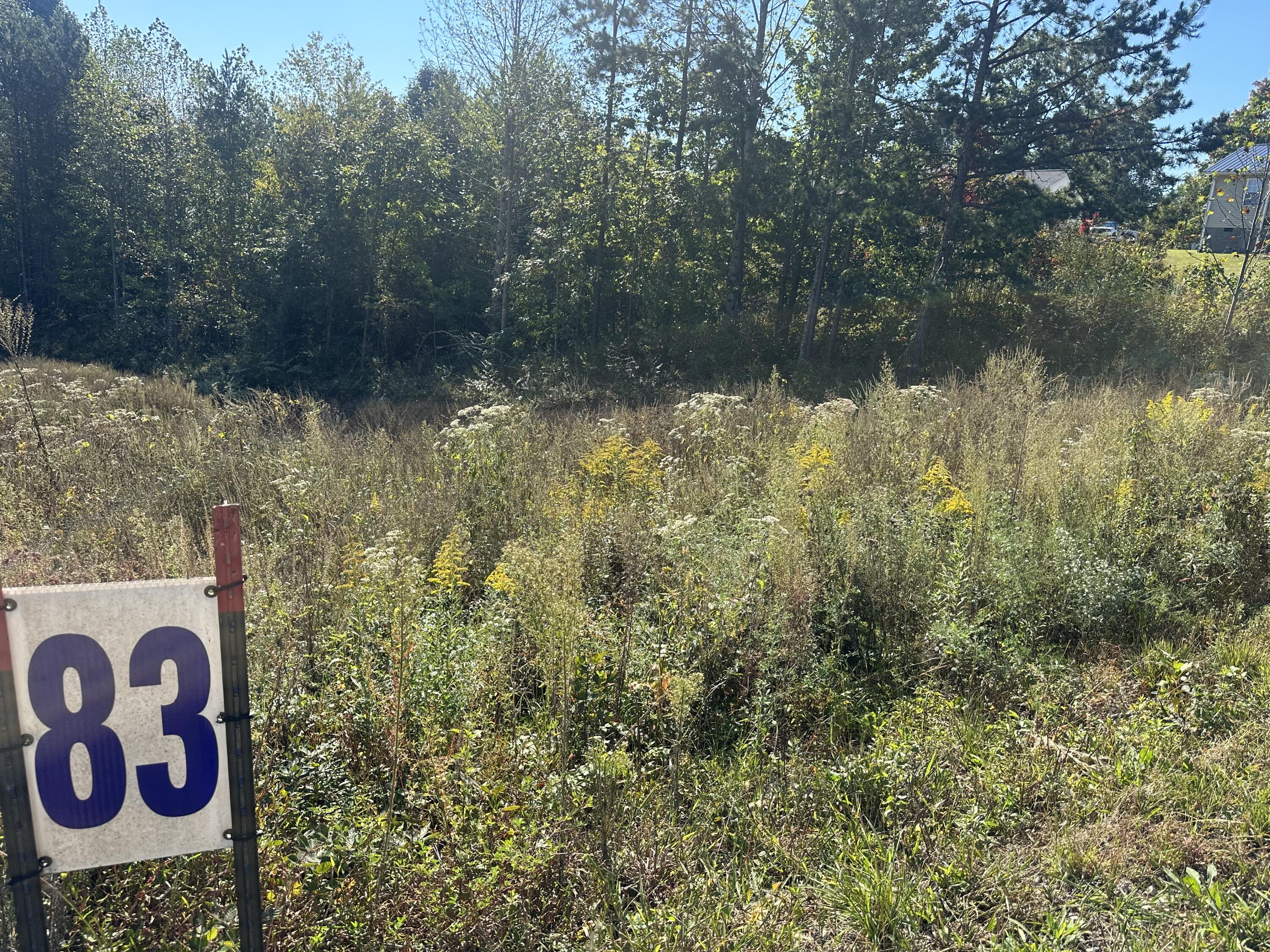 45 Rodeo Drive LOT 83 Property Photo 1
