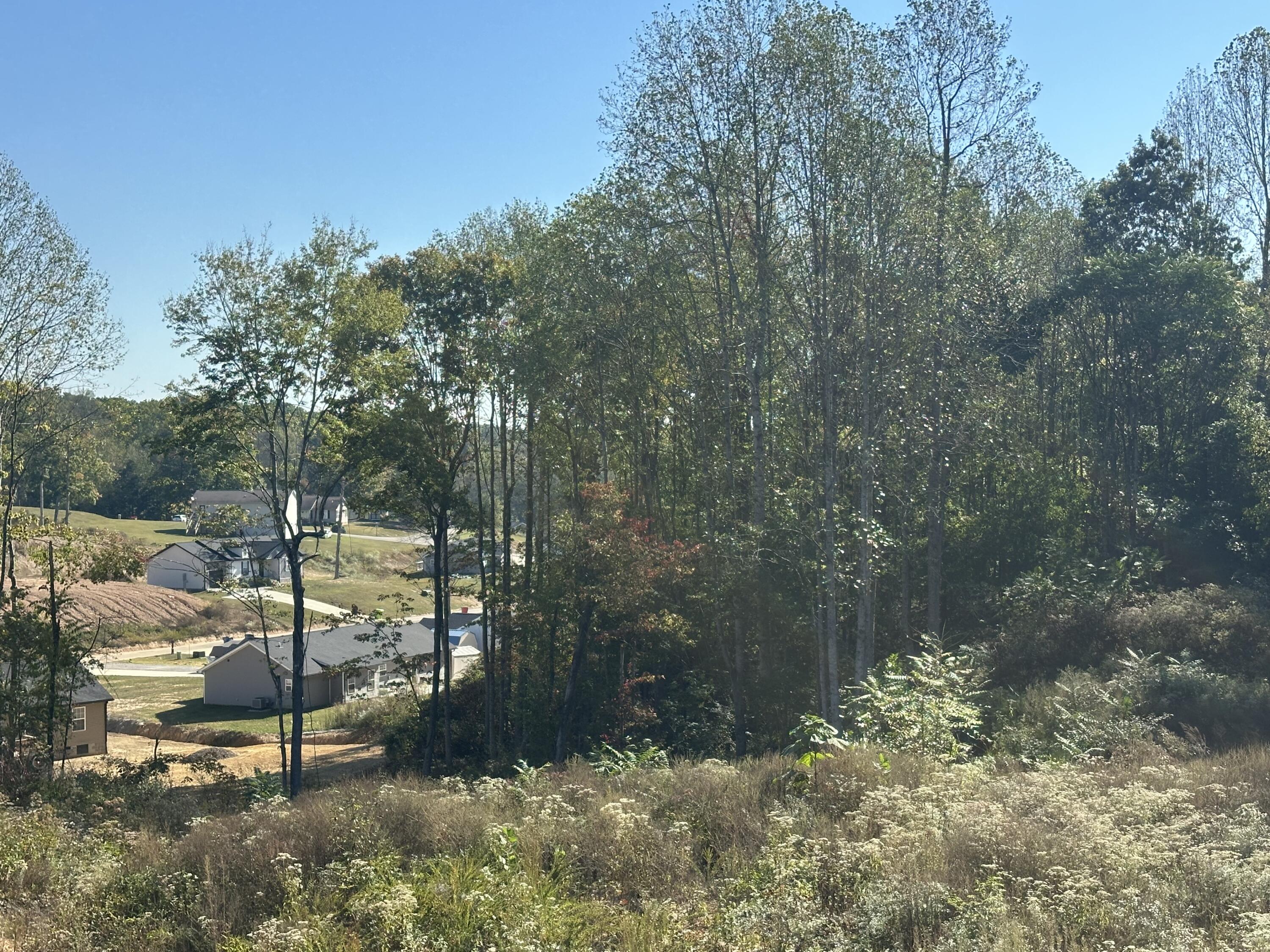 45 Rodeo Drive Lot 83 Property Photo 4