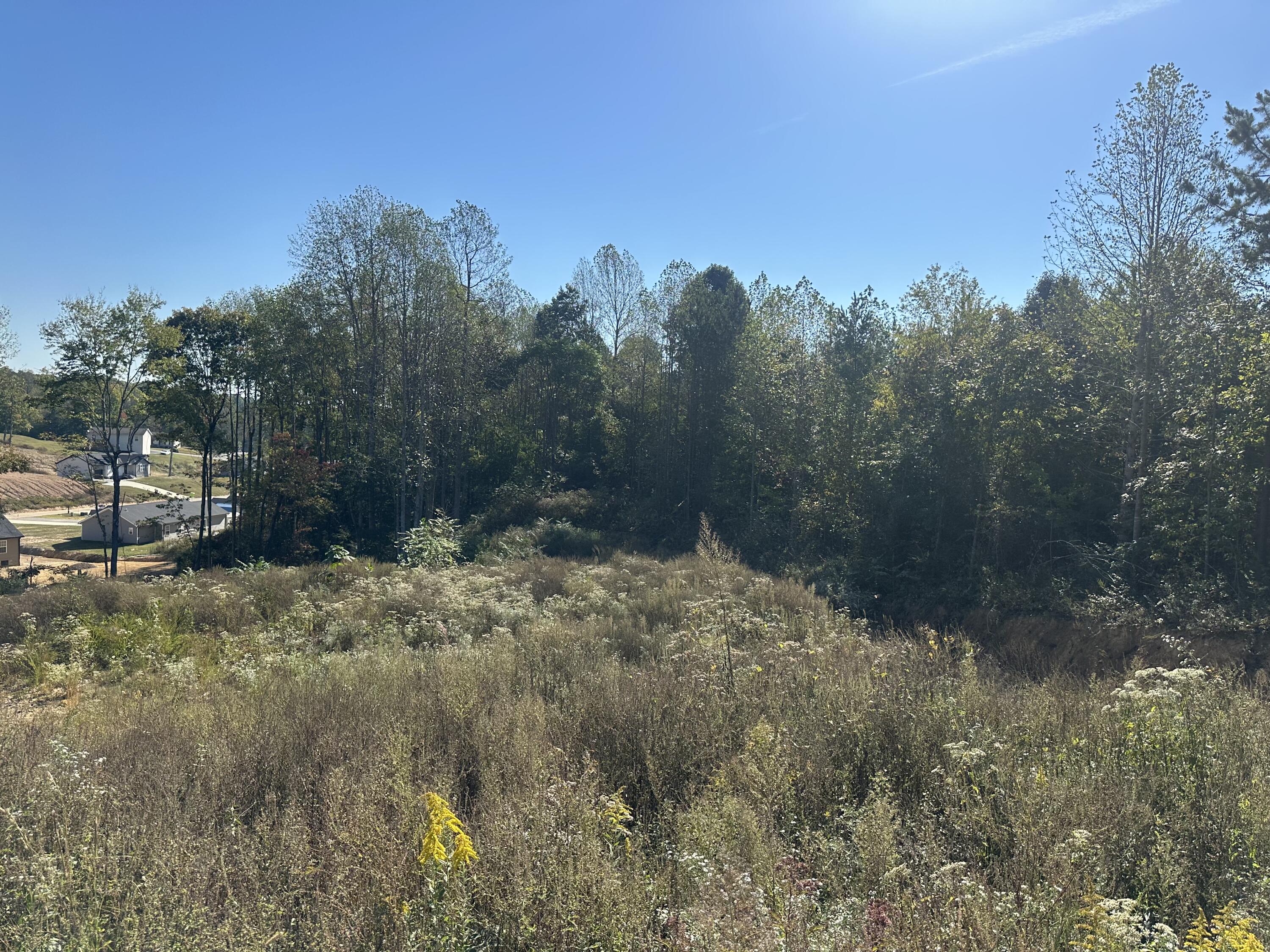 45 Rodeo Drive Lot 83 Property Photo 6