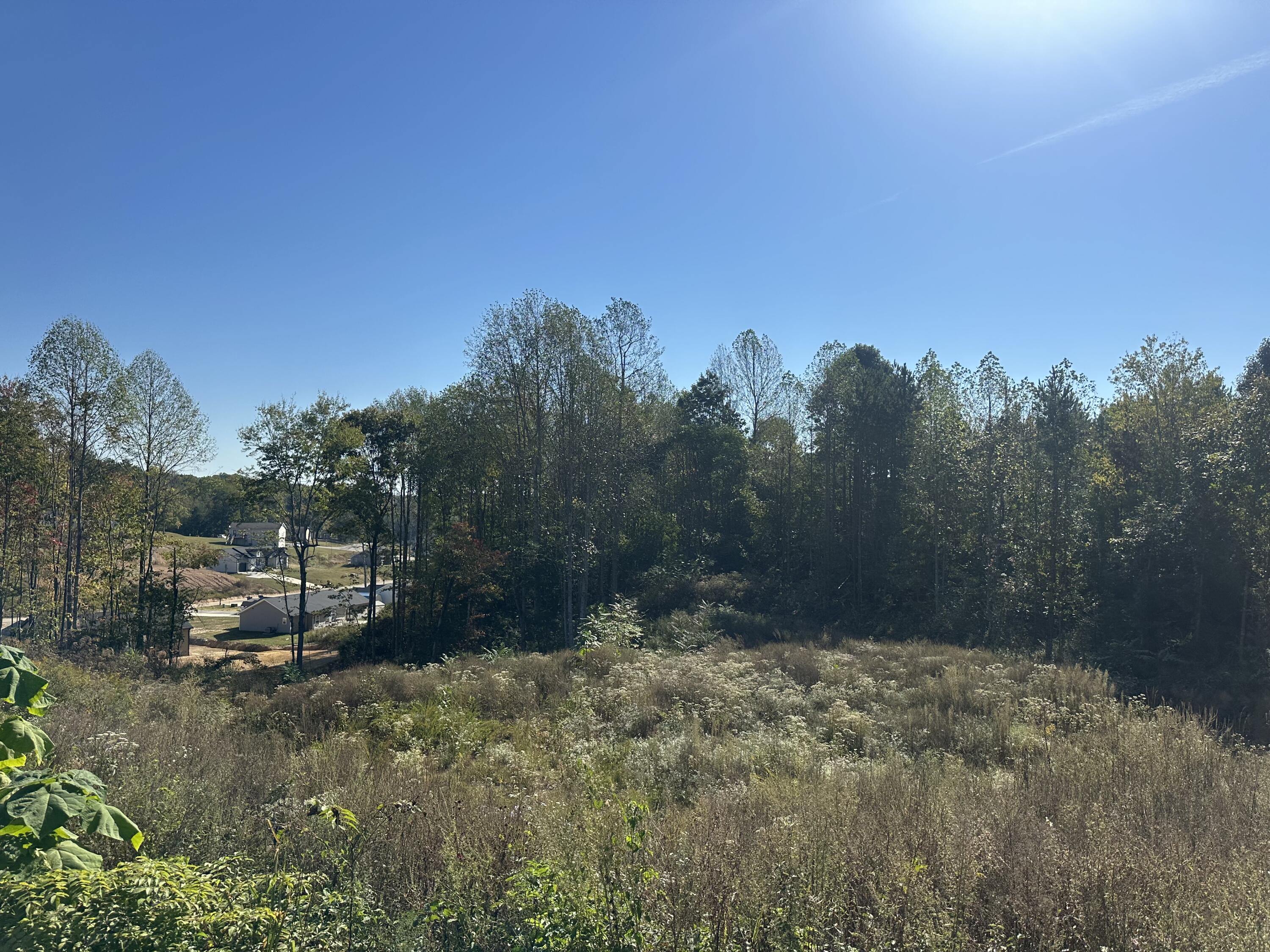 45 Rodeo Drive Lot 83 Property Photo 9