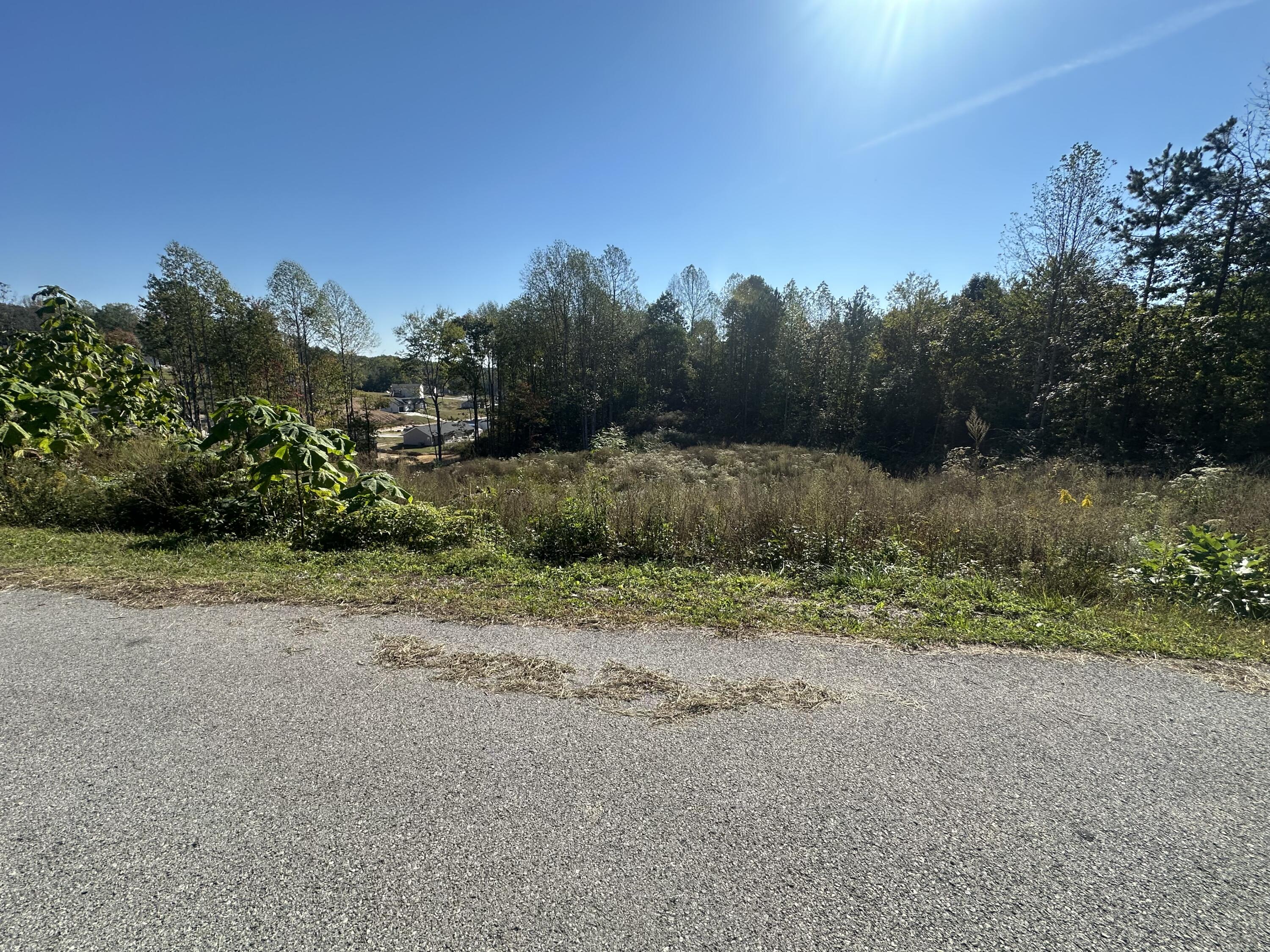 45 Rodeo Drive Lot 83 Property Photo 13