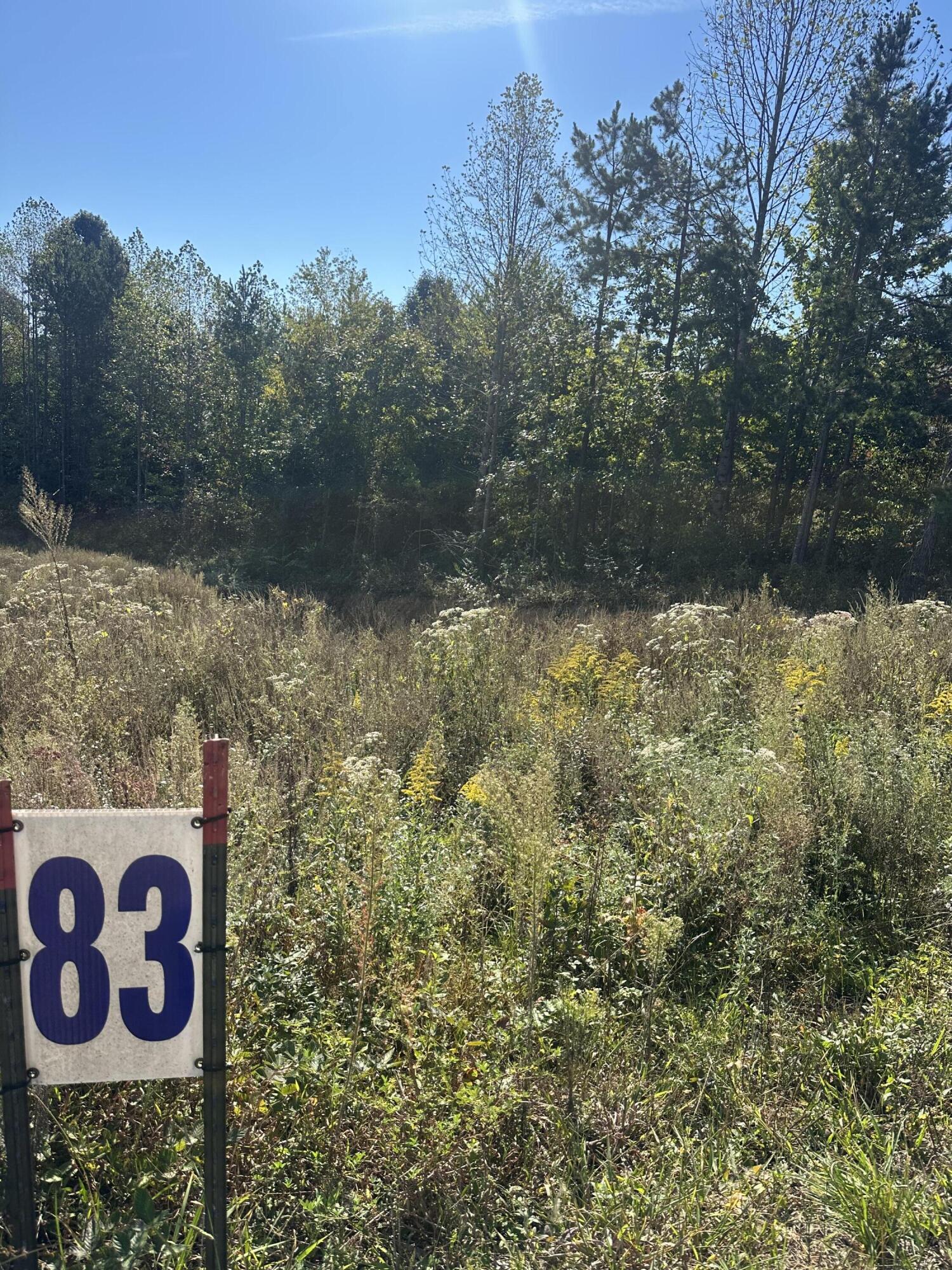 45 Rodeo Drive Lot 83 Property Photo 15