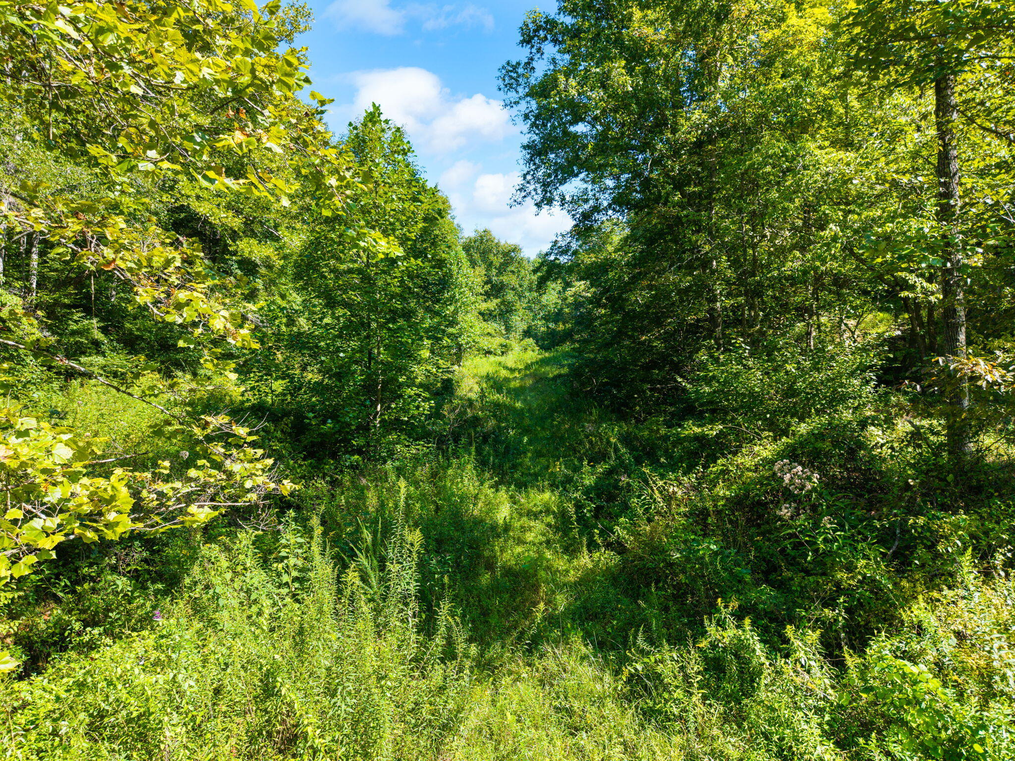 1222 Caney Fork Road Property Photo 1