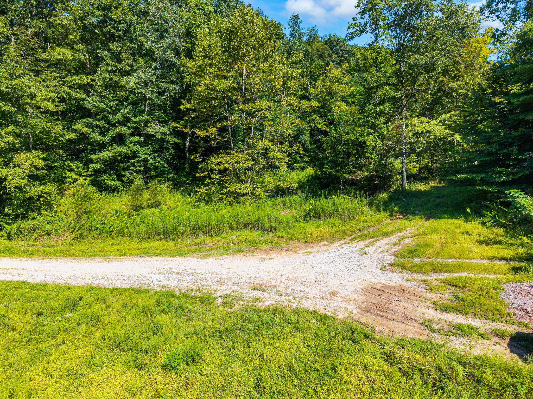 1222 Caney Fork Road Property Photo 4