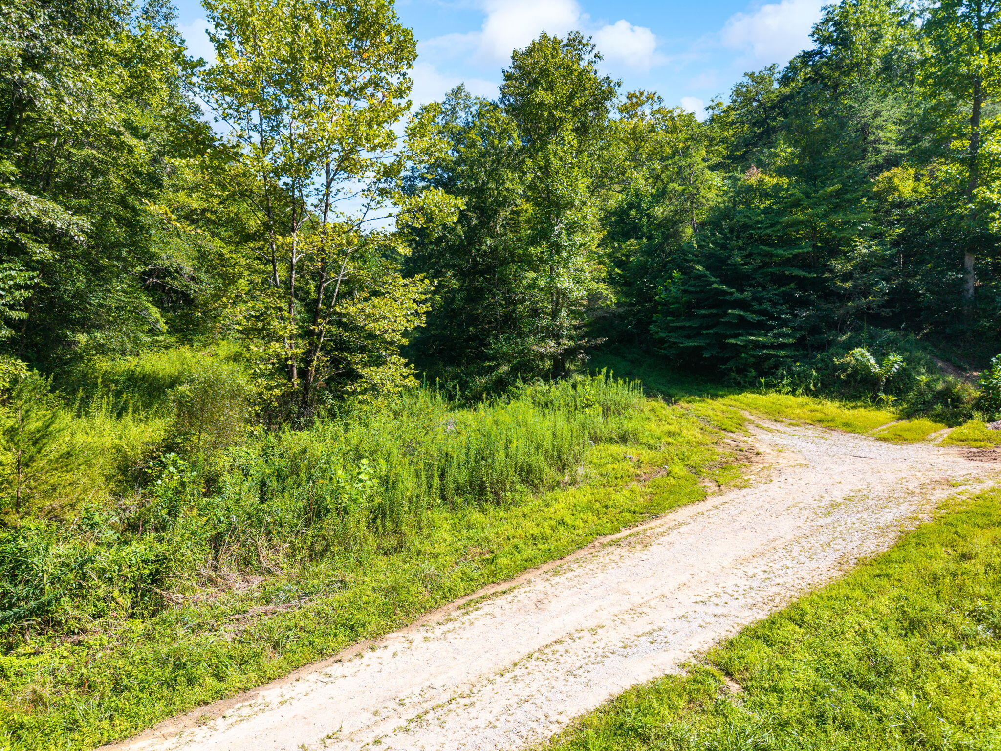 1222 Caney Fork Road Property Photo 5