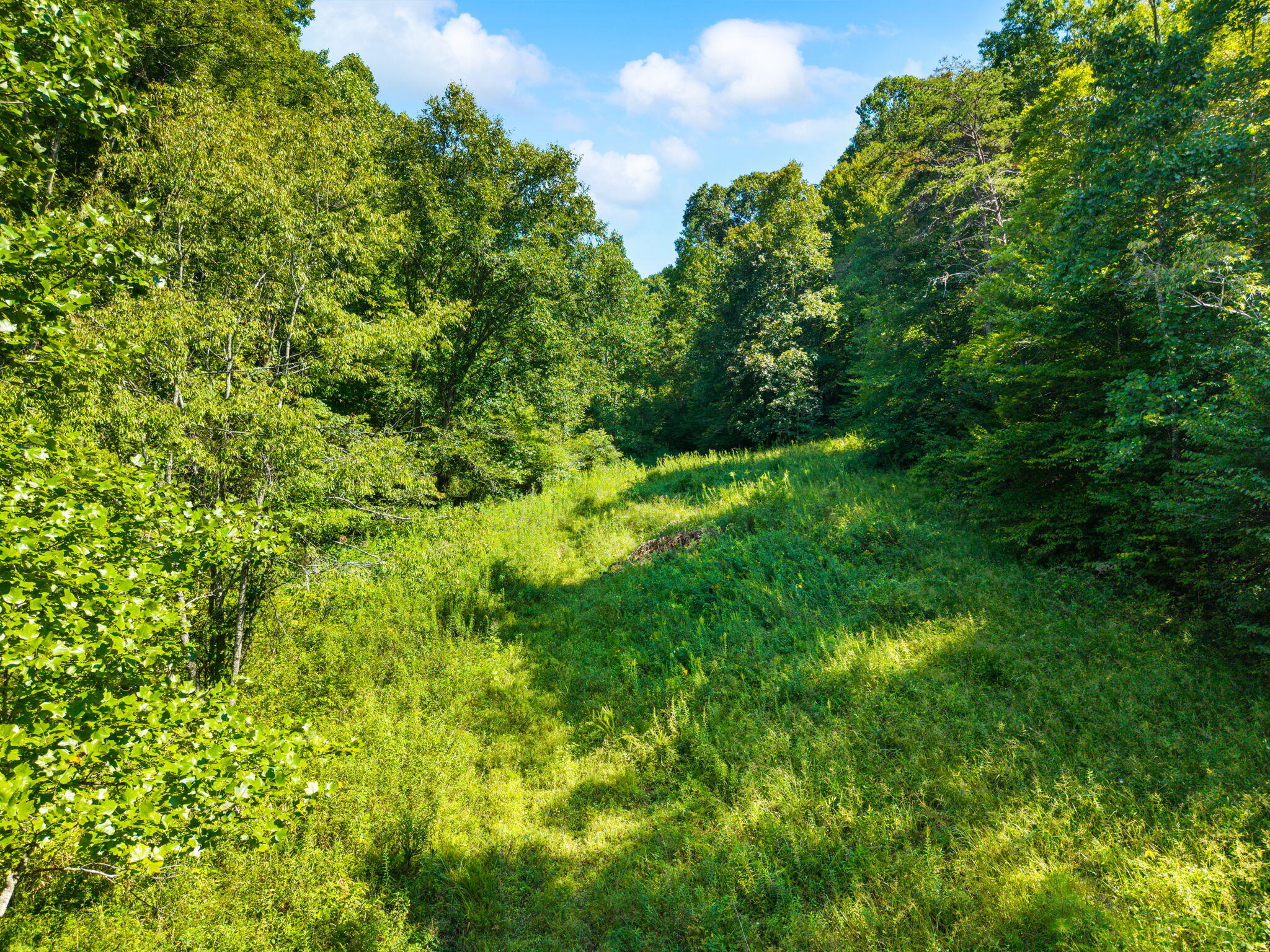 1222 Caney Fork Road Property Photo 6
