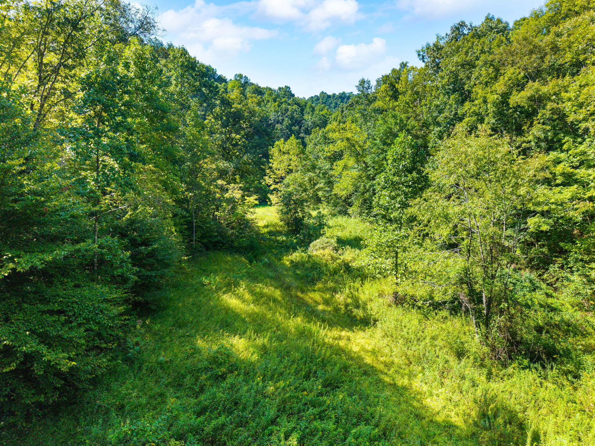 1222 Caney Fork Road Property Photo 7