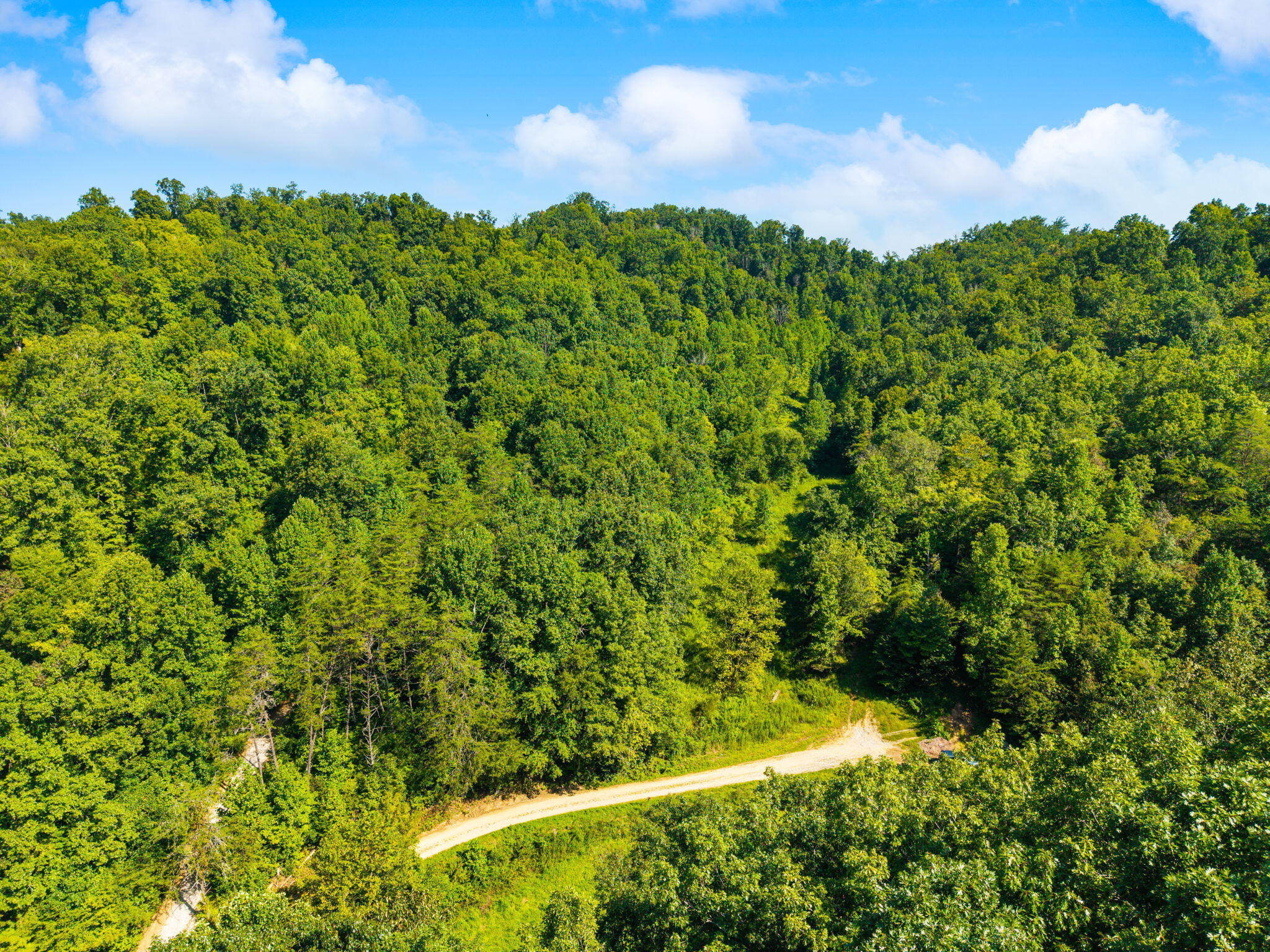 1222 Caney Fork Road Property Photo 8