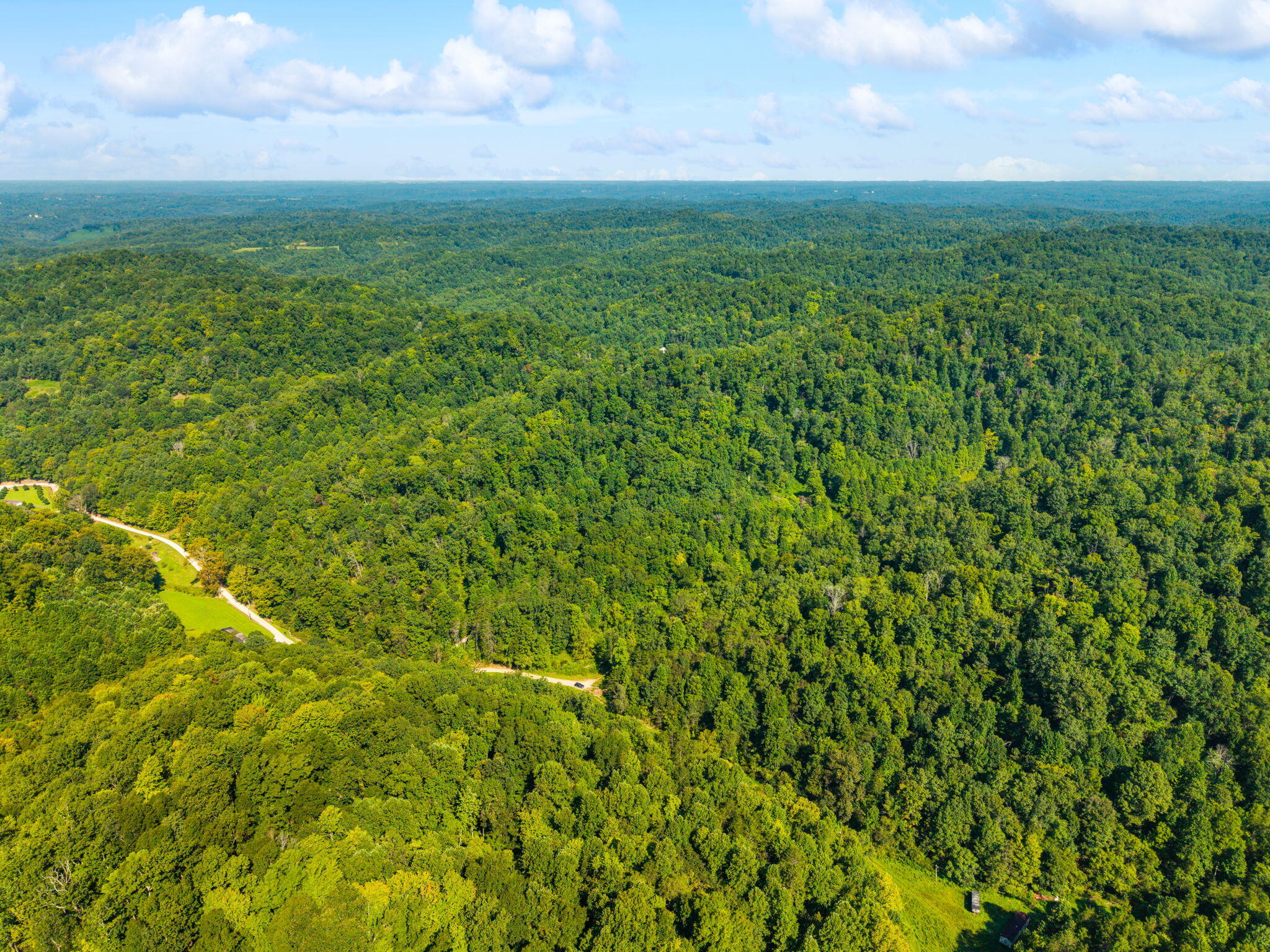 1222 Caney Fork Road Property Photo 9