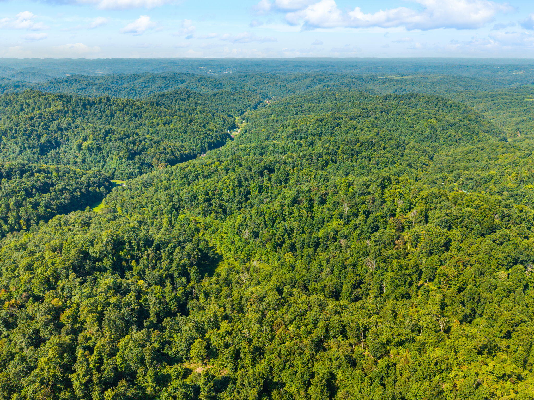 1222 Caney Fork Road Property Photo 14
